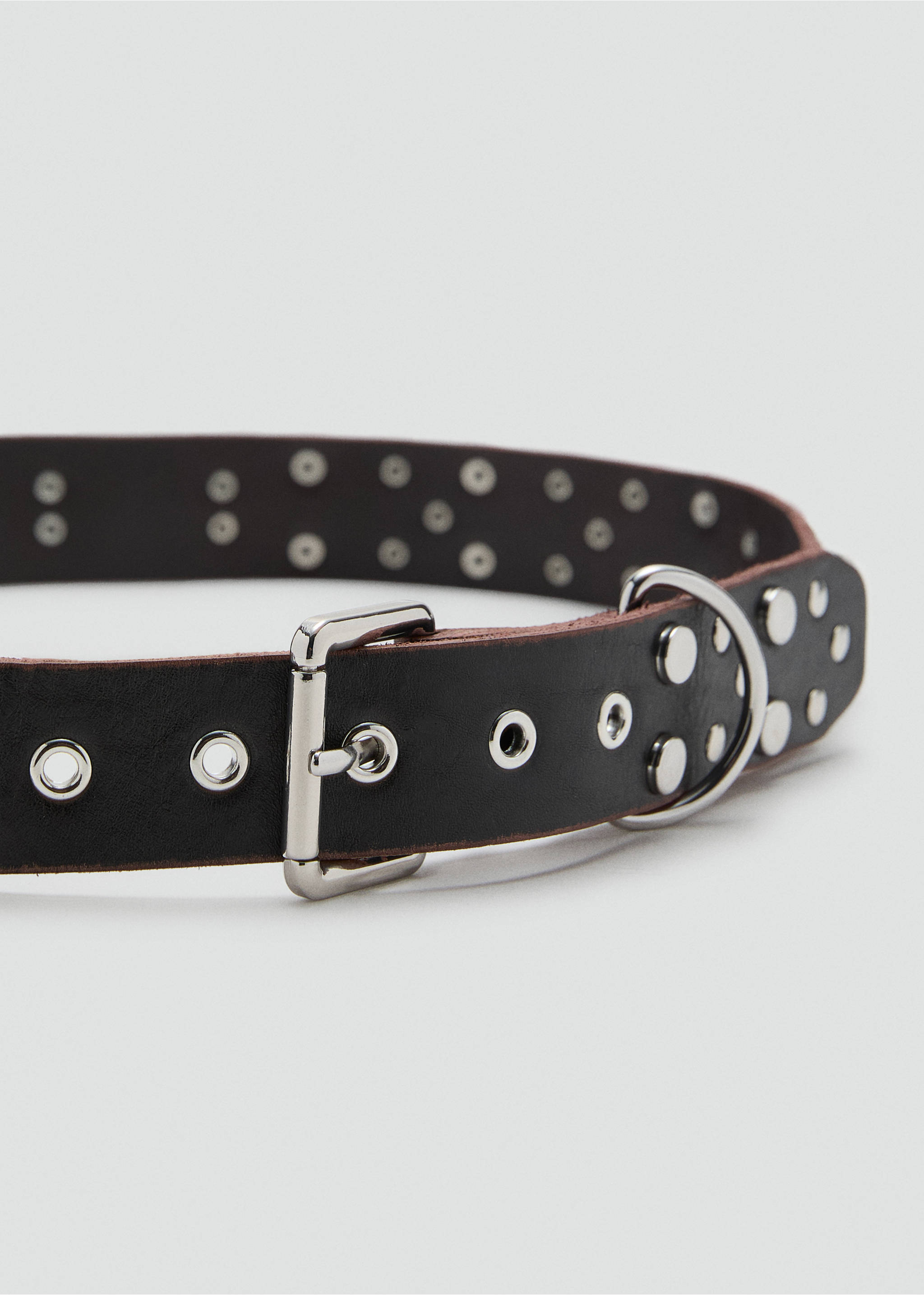 Stud leather belt - Medium plane, Chocolate. Ref: 17097810-00.