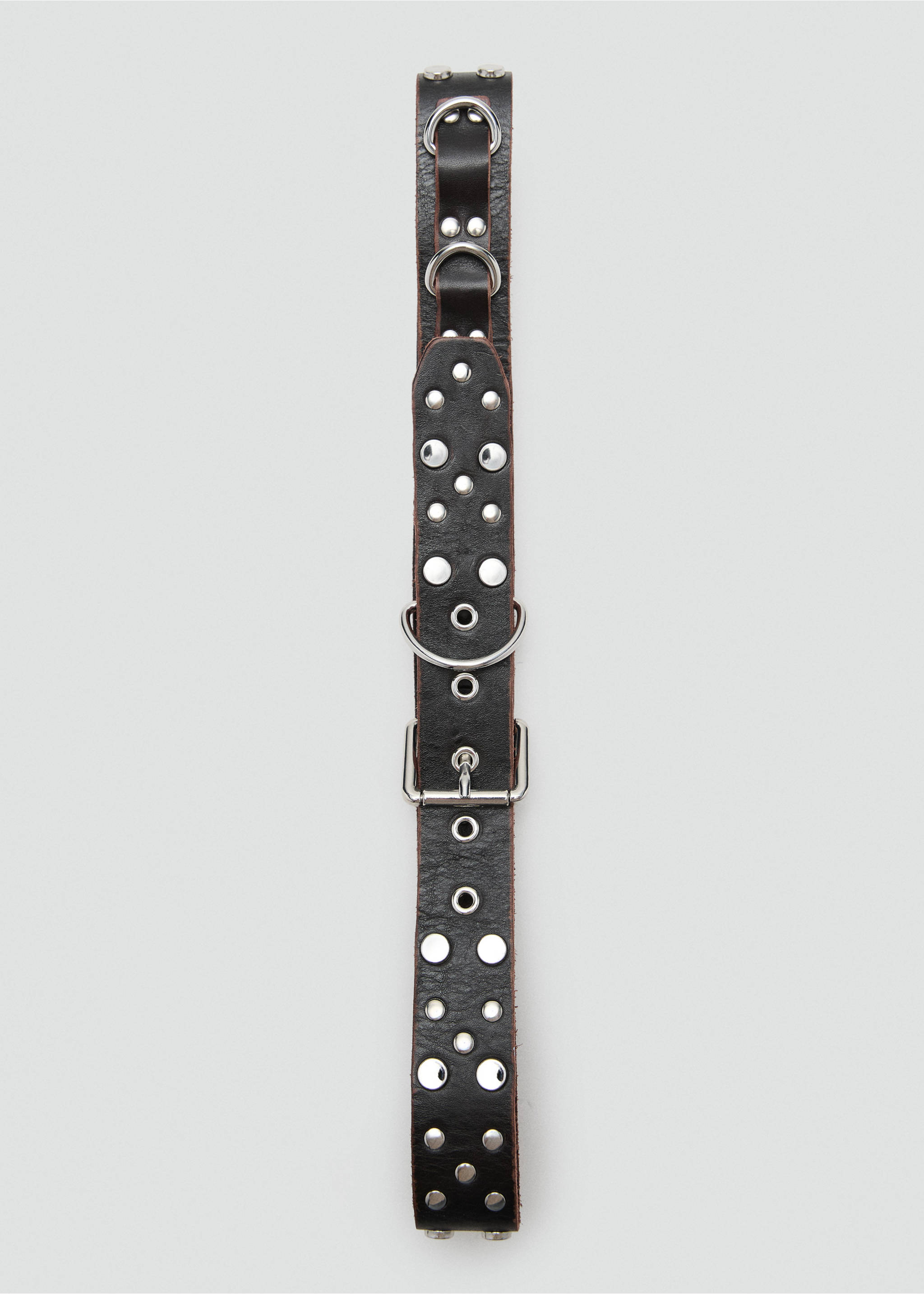 Stud leather belt - Details of the article 2, Chocolate. Ref: 17097810-00.