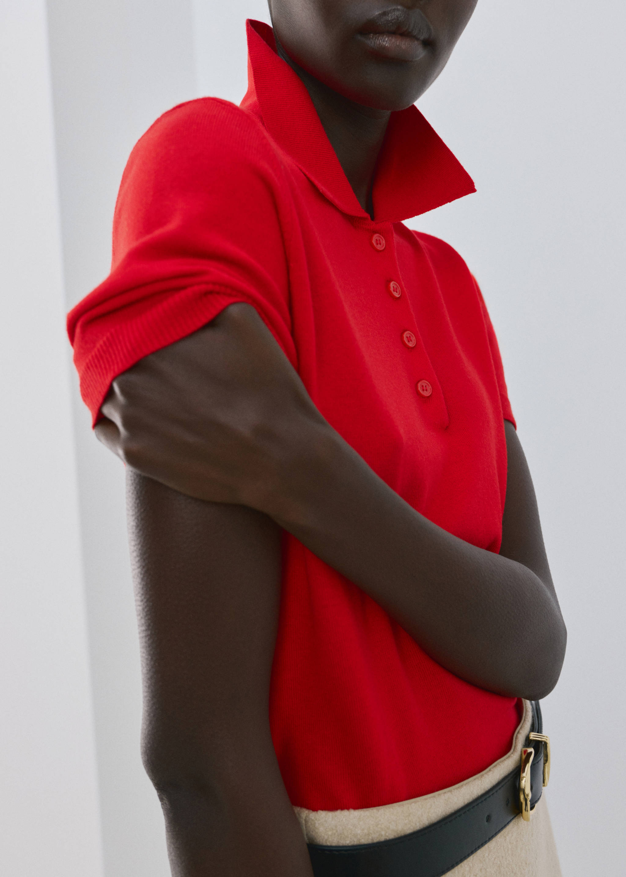Polo neck sweater - Medium plane
