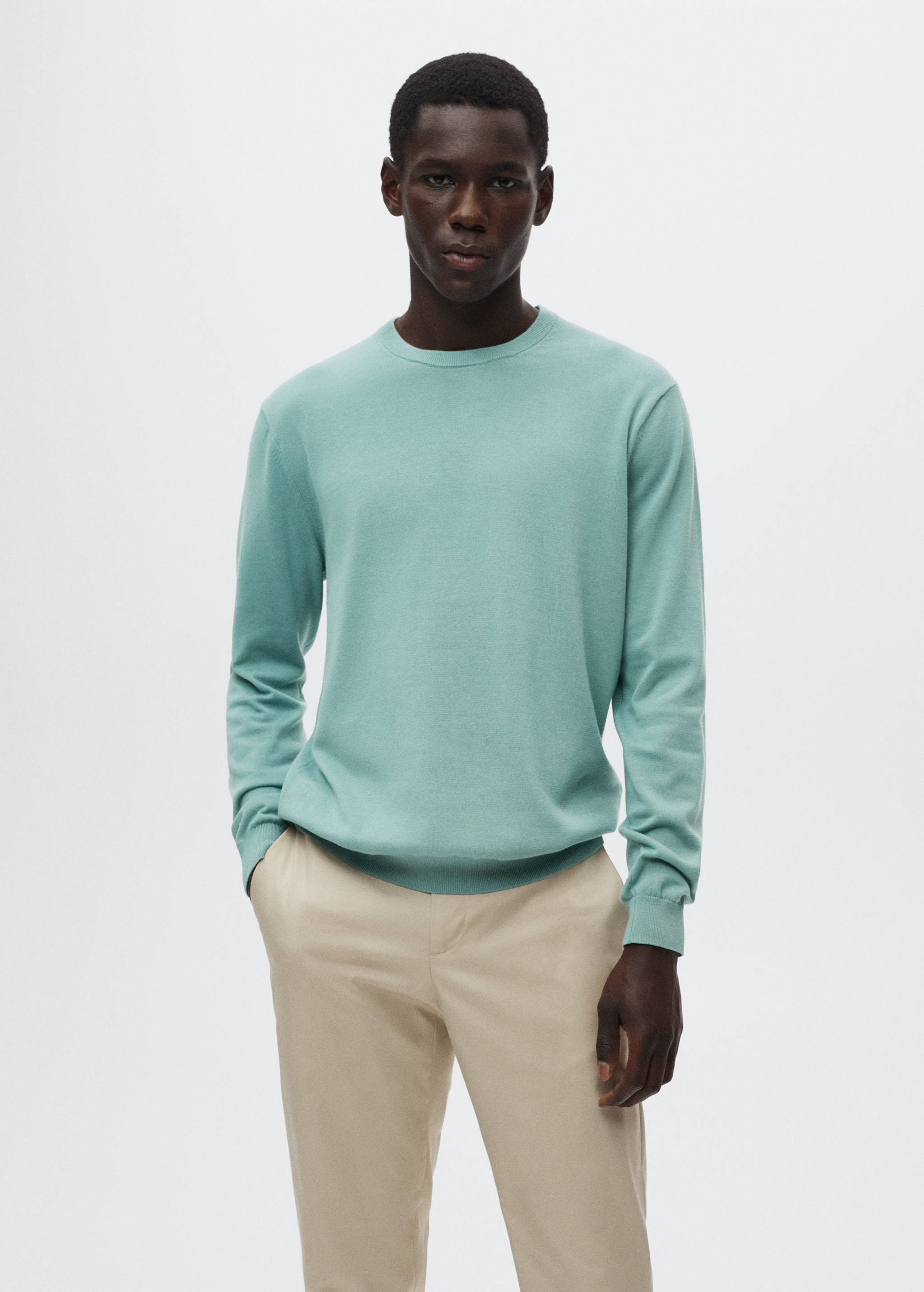 Fine-knit cotton sweater - Medium plane