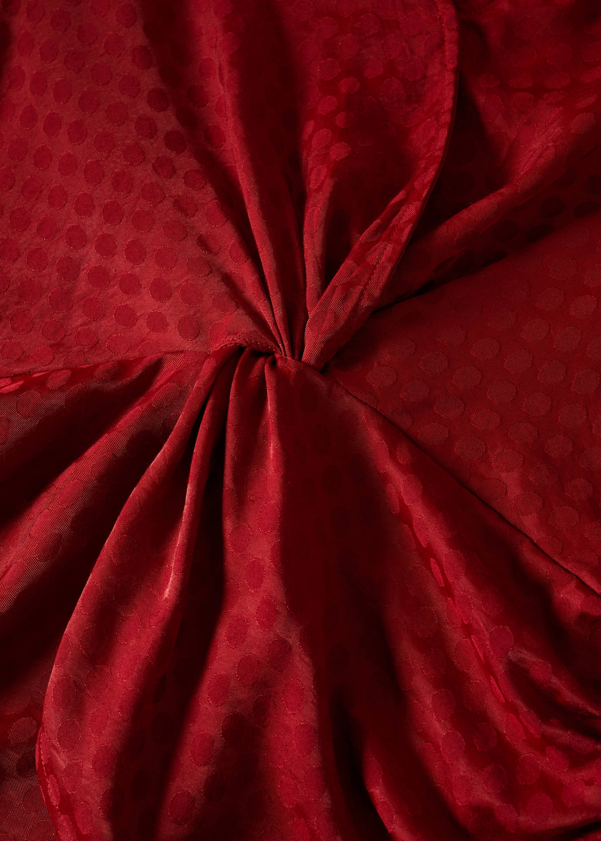 Brusa nus setinada  - Detall de l'article 8