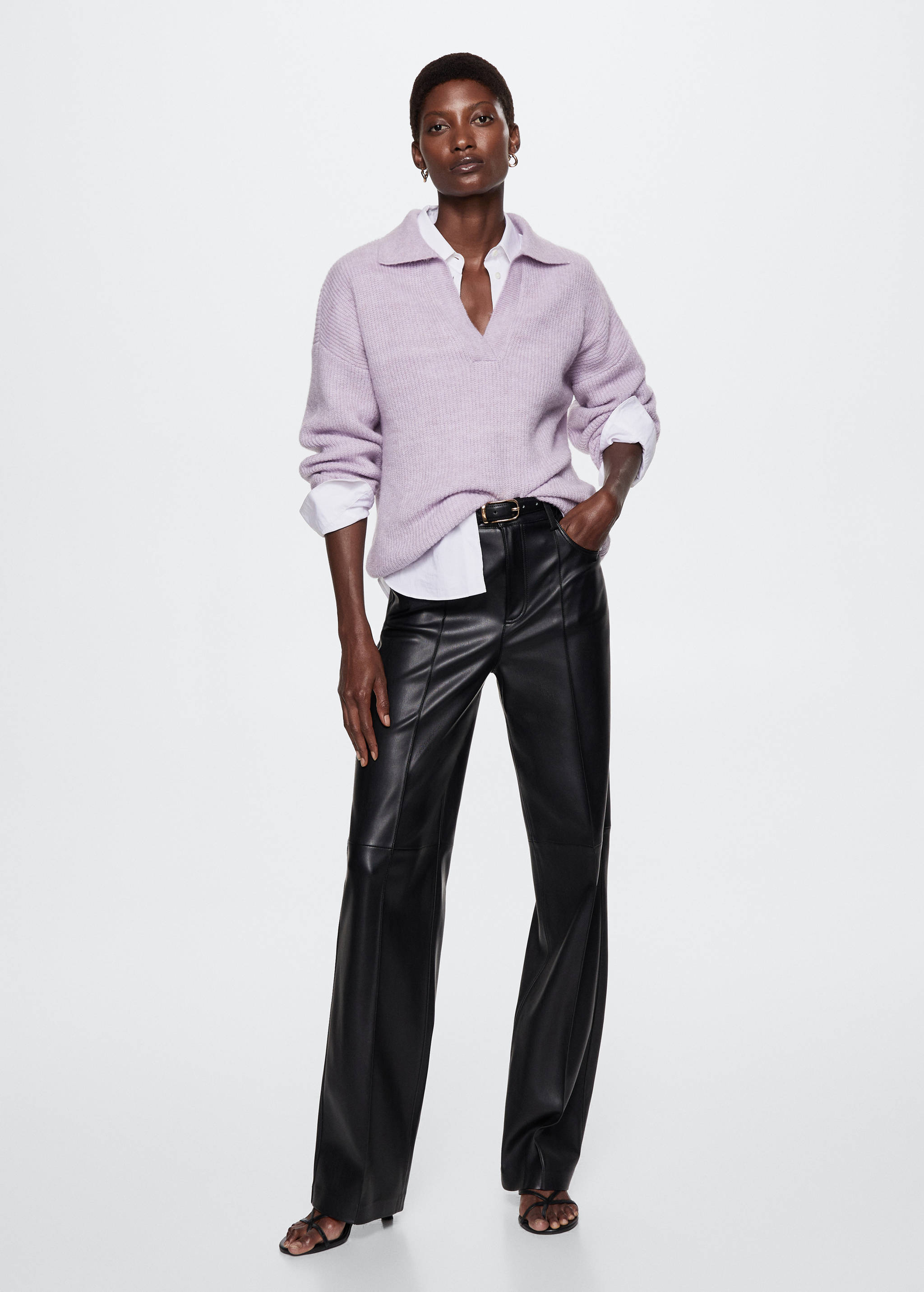 Polo neck sweater - General plane