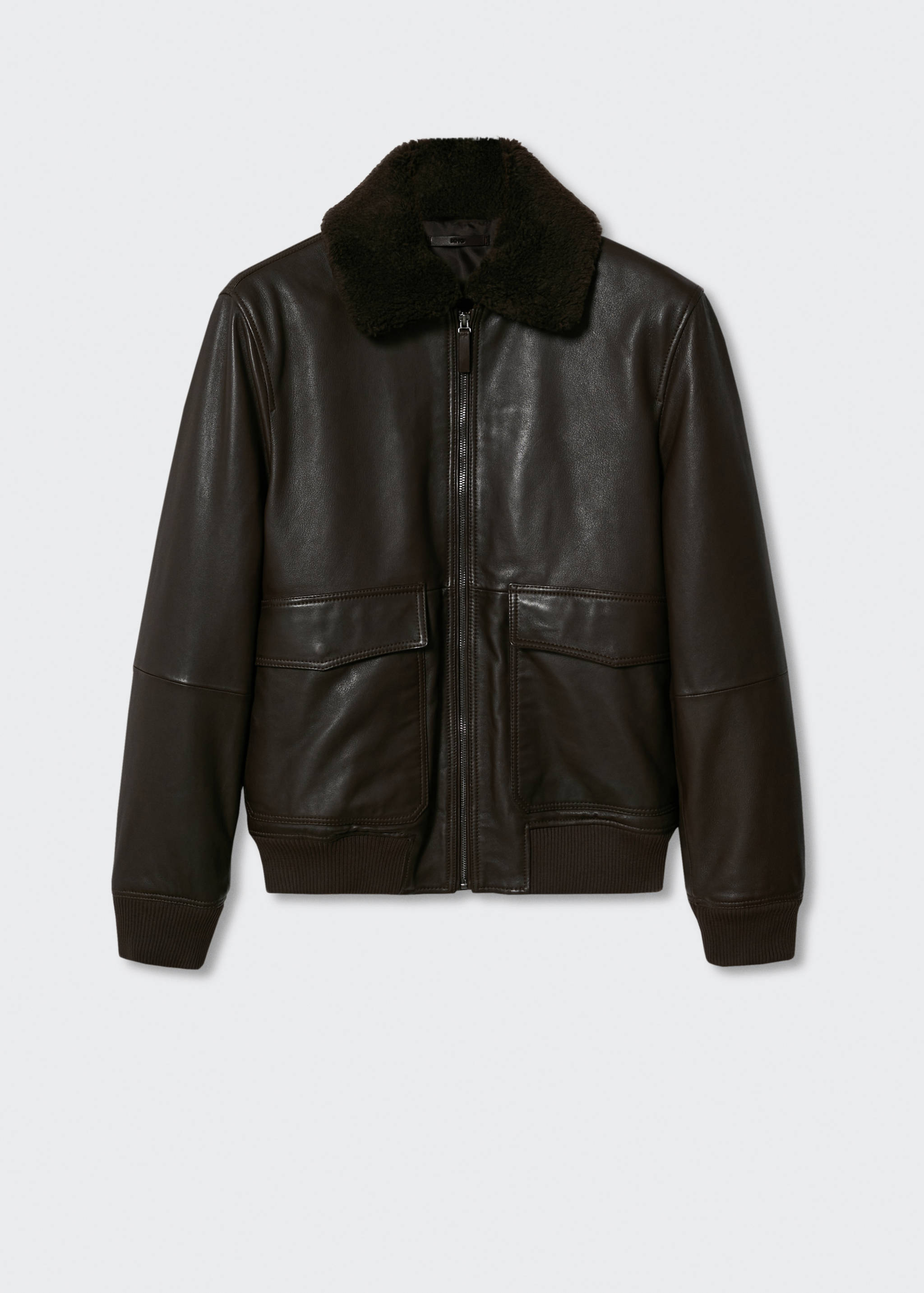 Aviator leather jacket - Article without model
