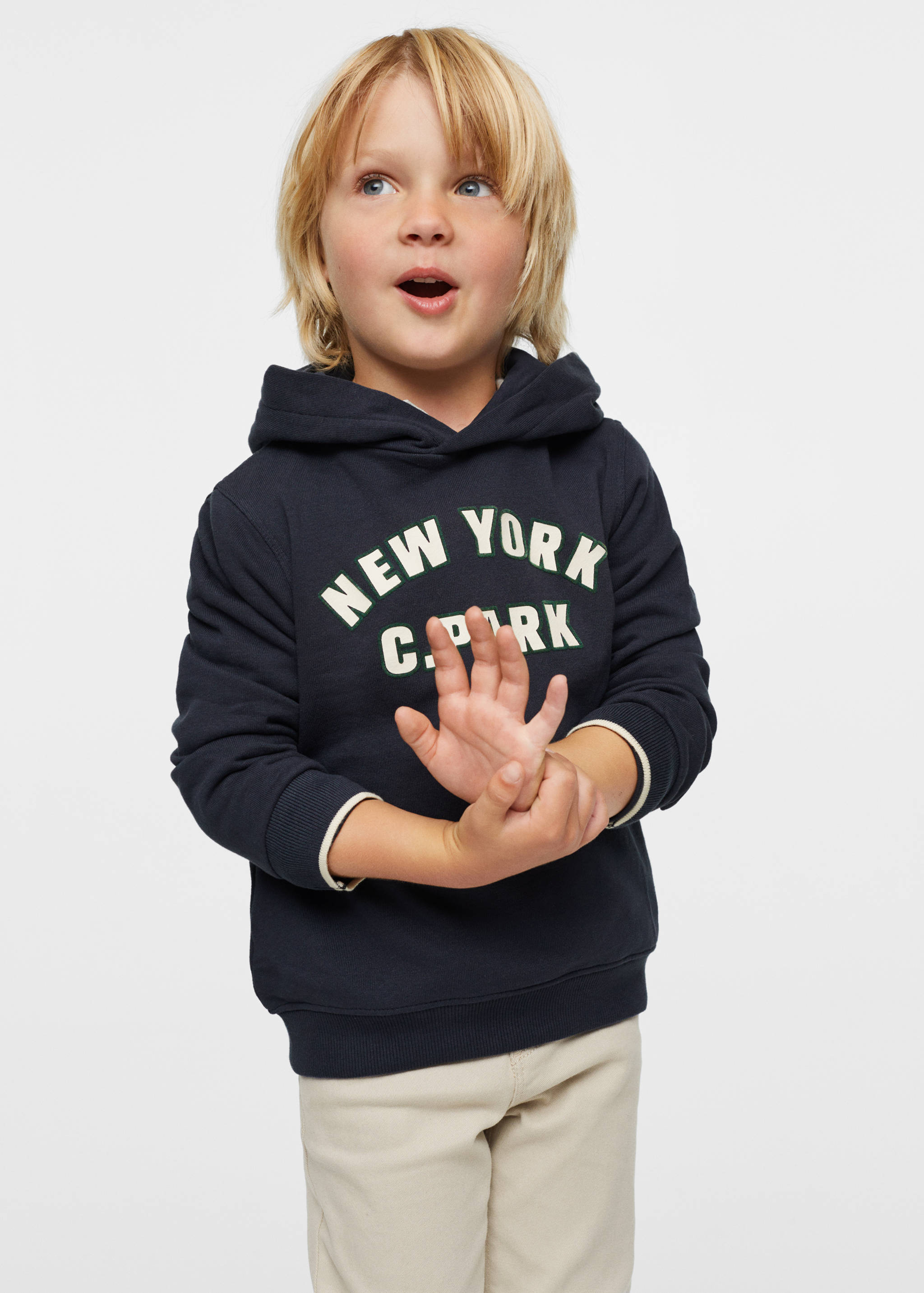 Printed hoodie - Medium plane