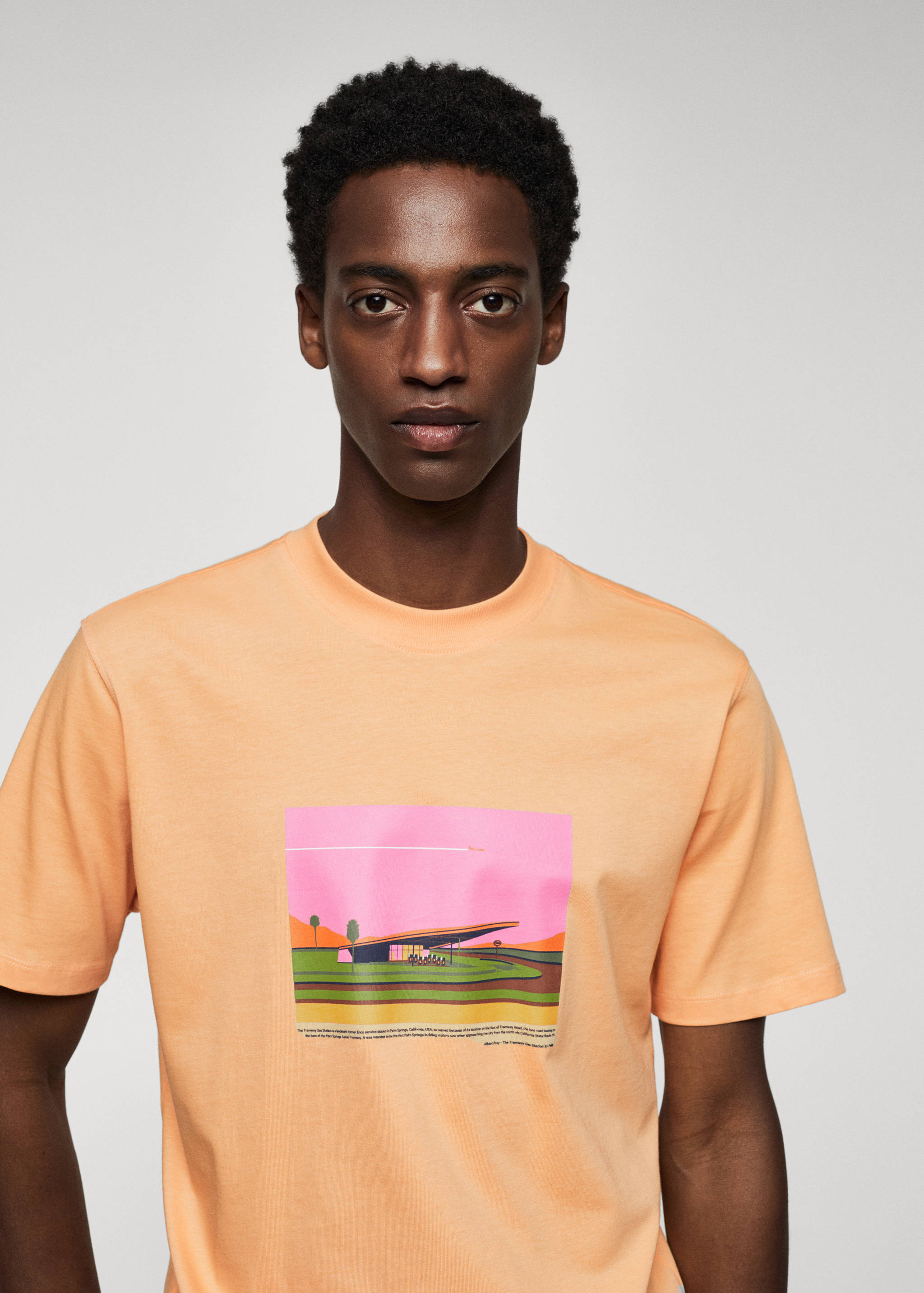 T-shirt de 100% algodão estampada - Pormenor do artigo 1