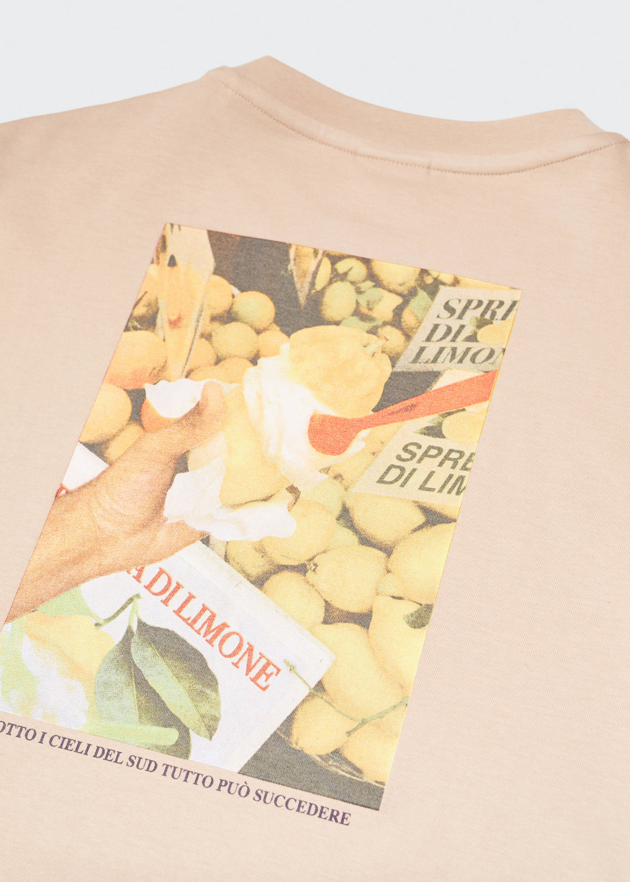 Samarreta 100% cotó text - Detall de l'article 8