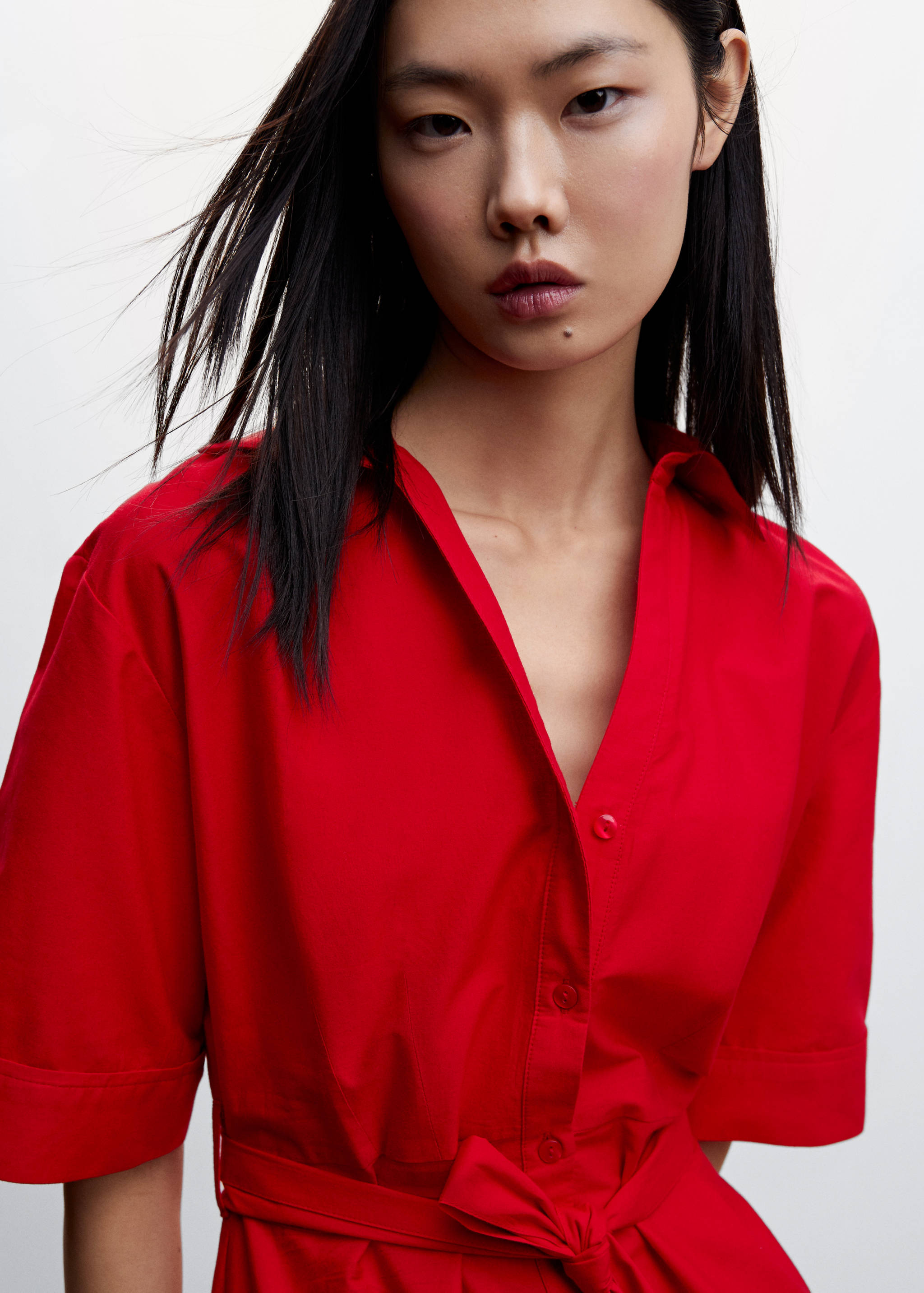 Swiss embroidered shirt dress - Reverse of the article