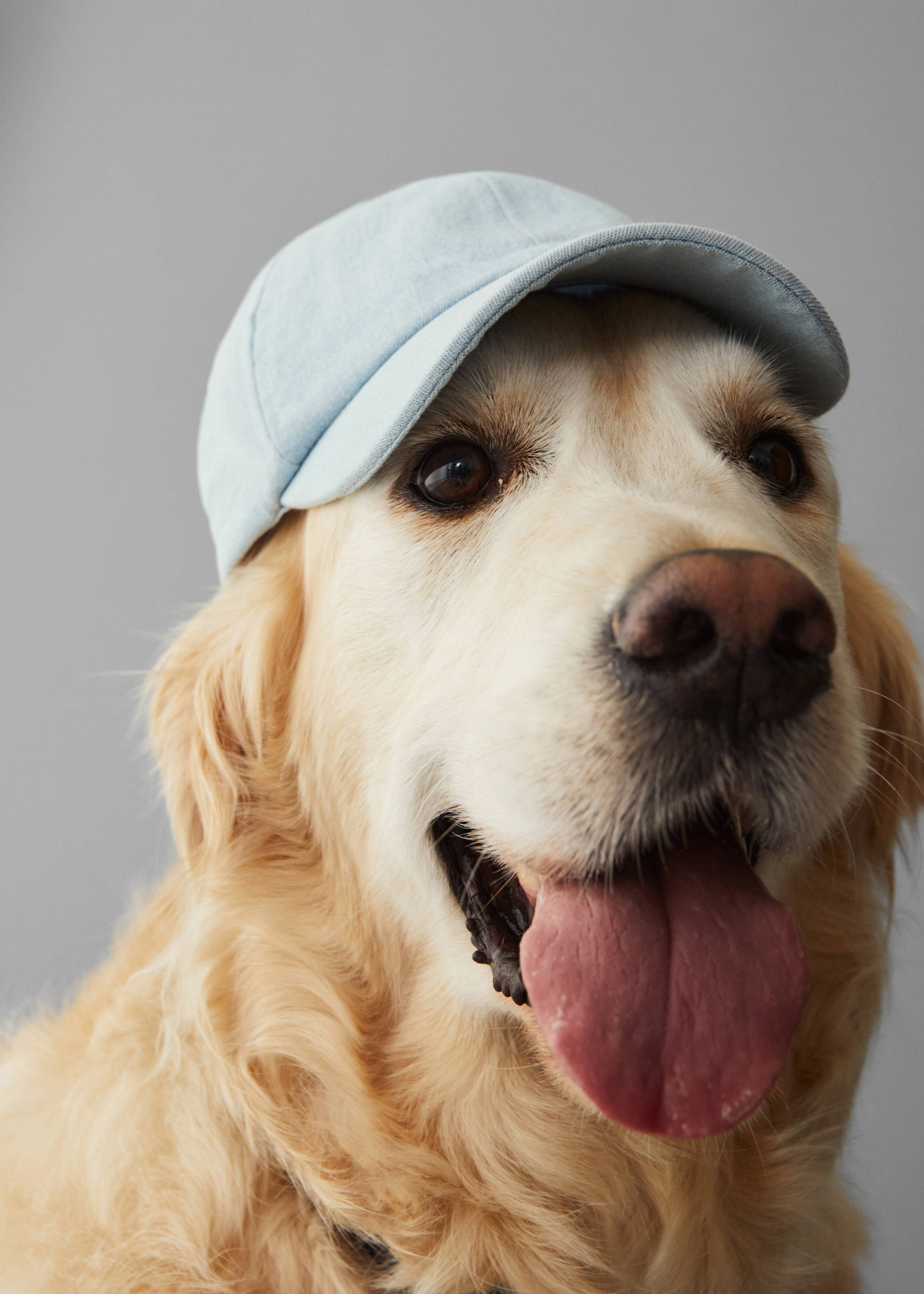 Bow cap - Details of the article 5