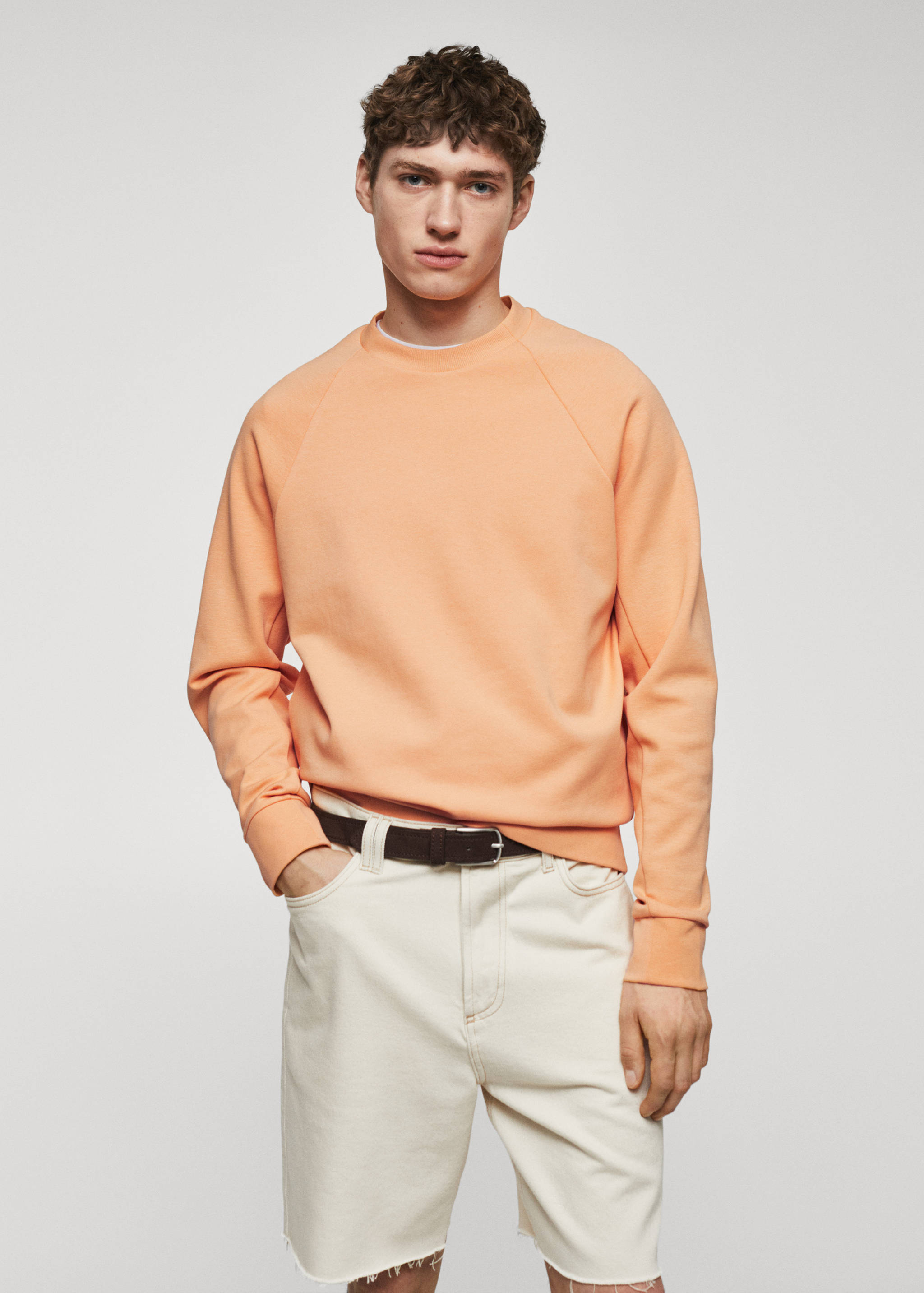 Lightweight cotton sweatshirt - Medium plane