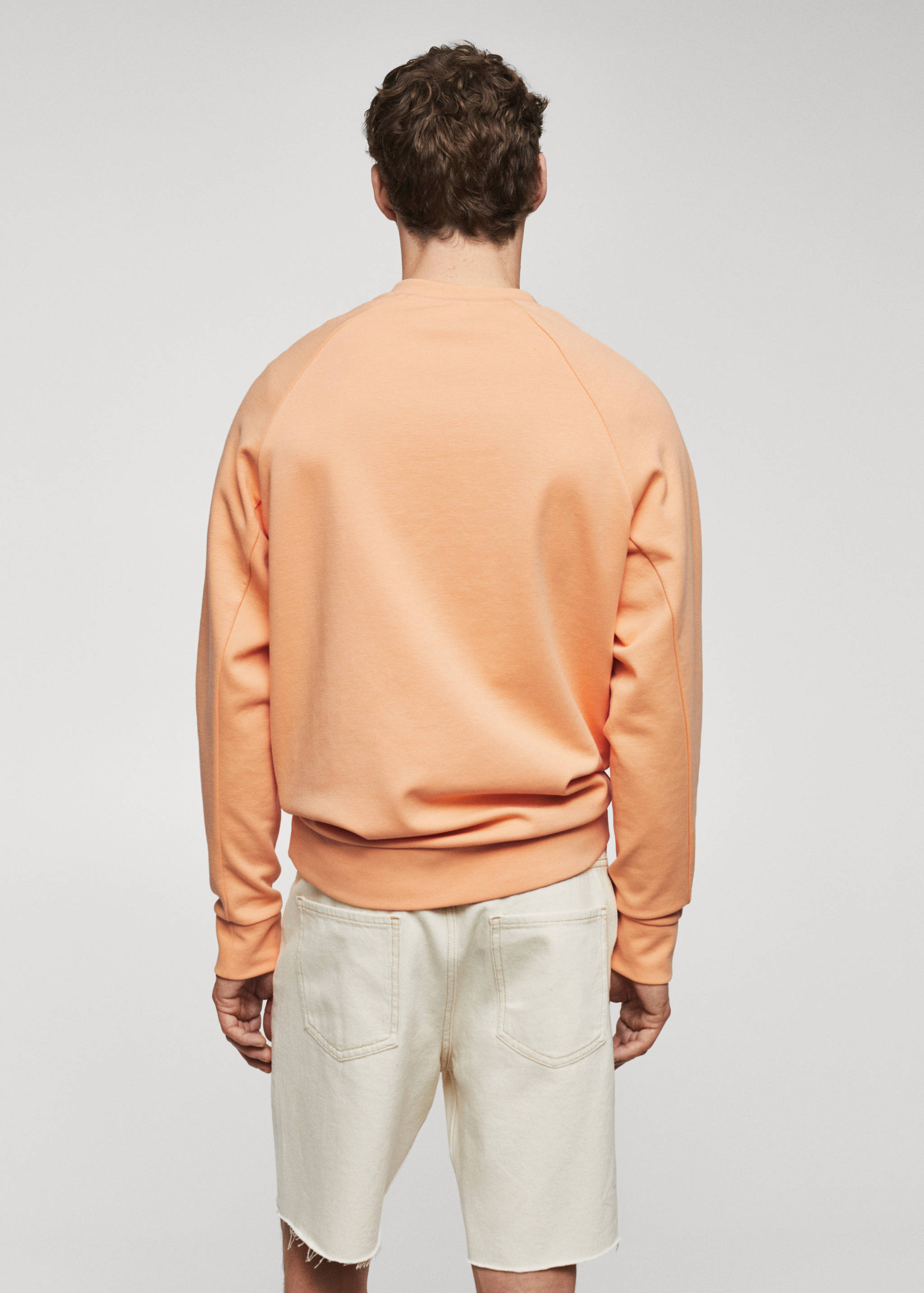 Lightweight cotton sweatshirt - Reverse of the article