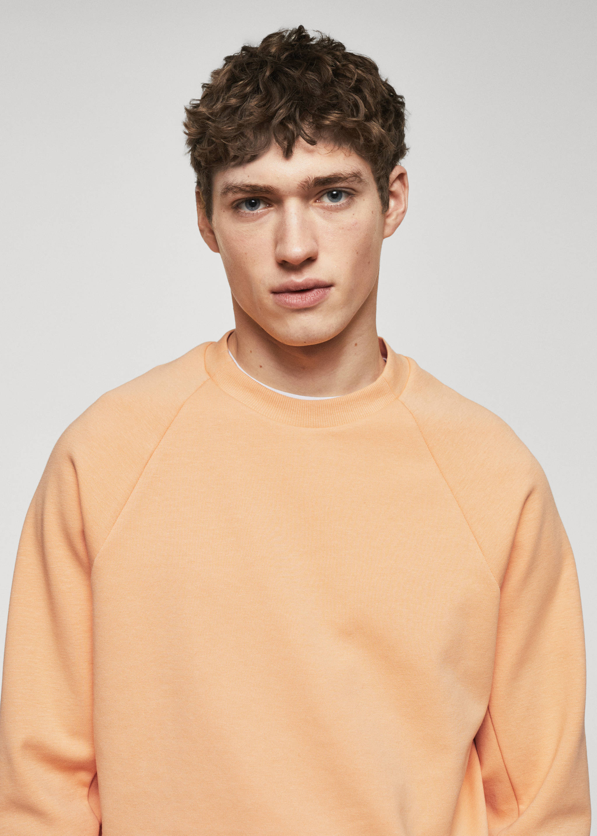 Lightweight cotton sweatshirt - Details of the article 1