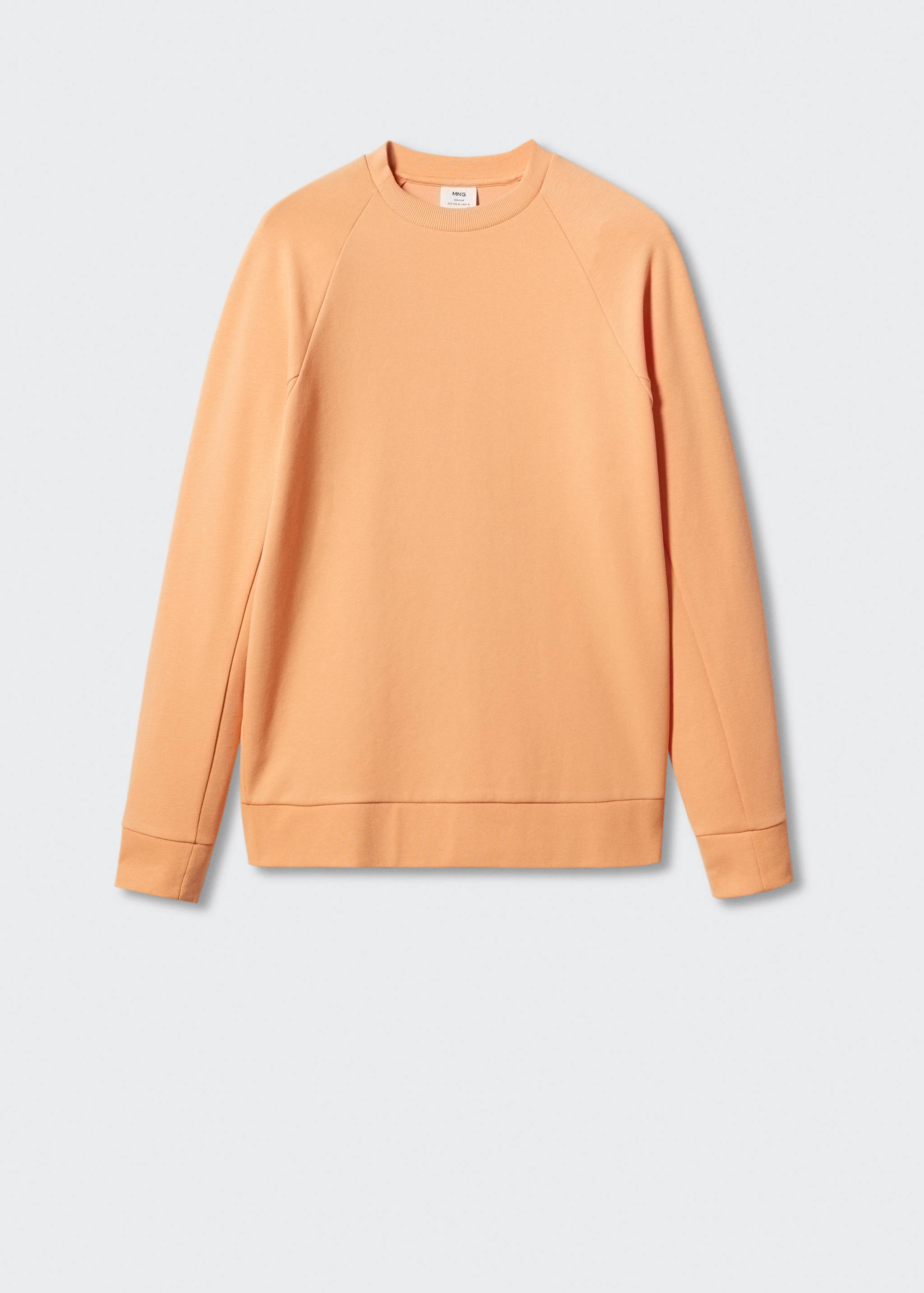 Lightweight cotton sweatshirt - Article without model