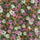 Color Rosa seleccionat
