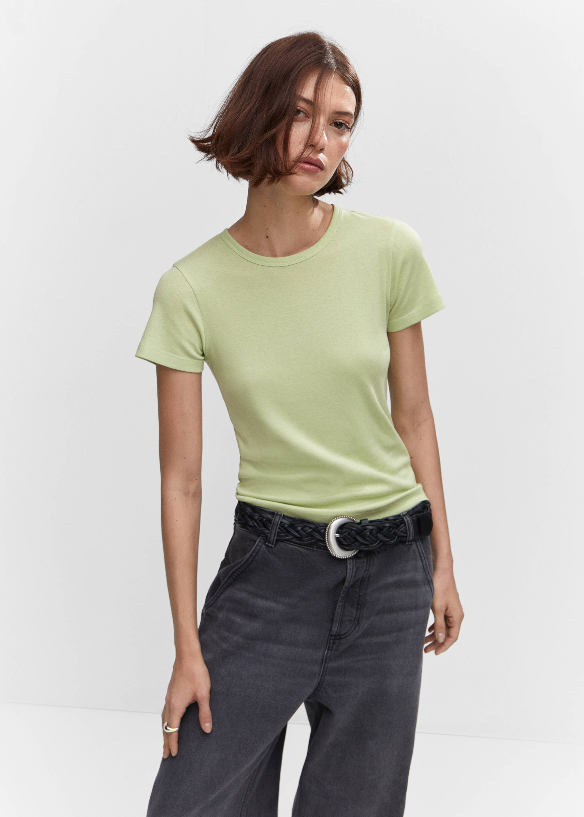 Rounded neck cotton t-shirt - Medium plane