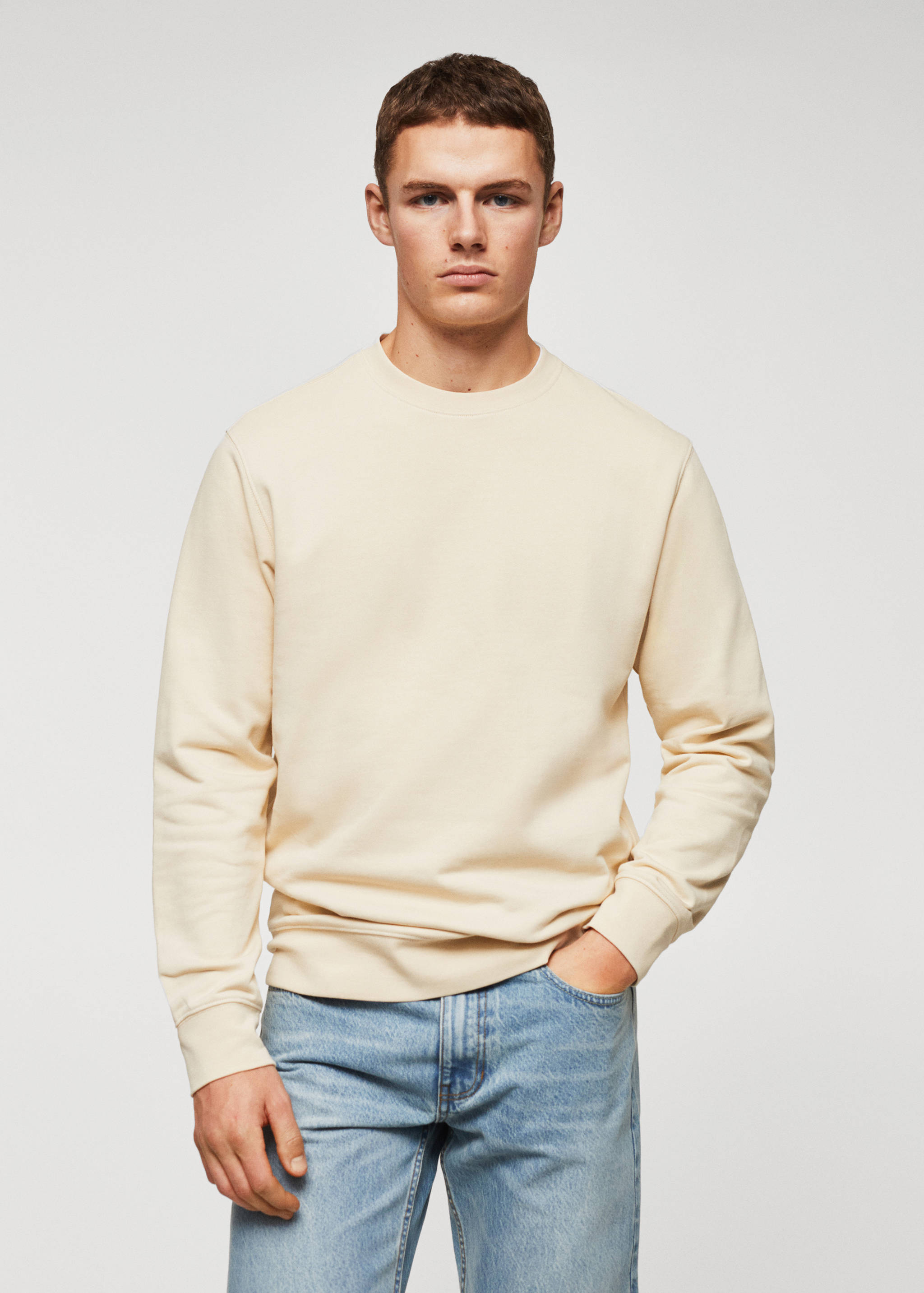 Lightweight cotton sweatshirt - Medium plane