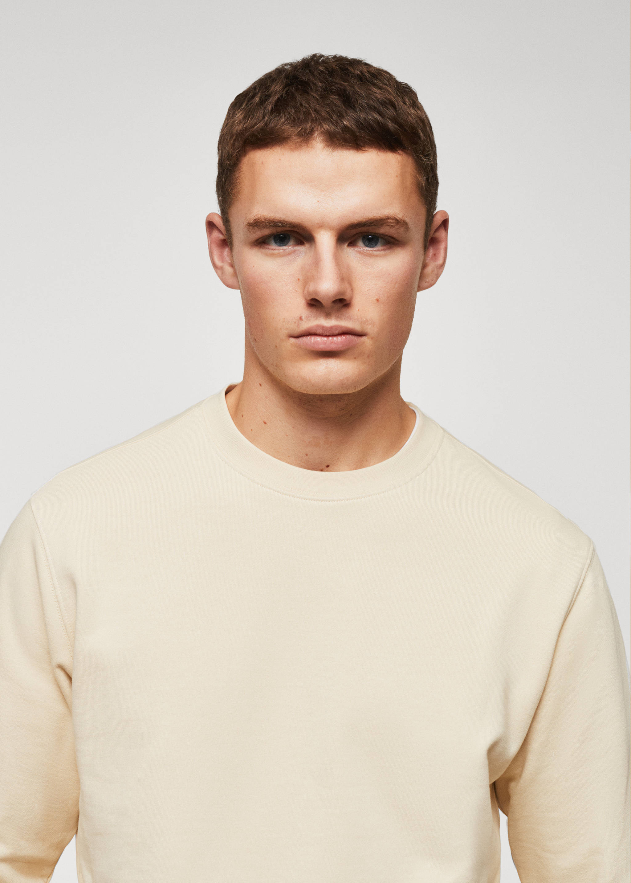 Lightweight cotton sweatshirt - Details of the article 1