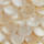 Colour Ivory White selected
