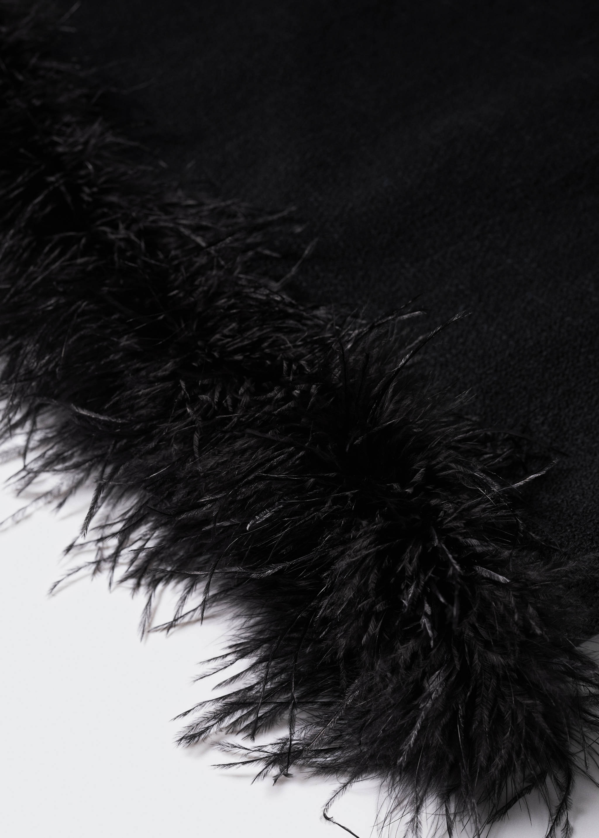 Vestit detall plomes - Detall de l'article 8
