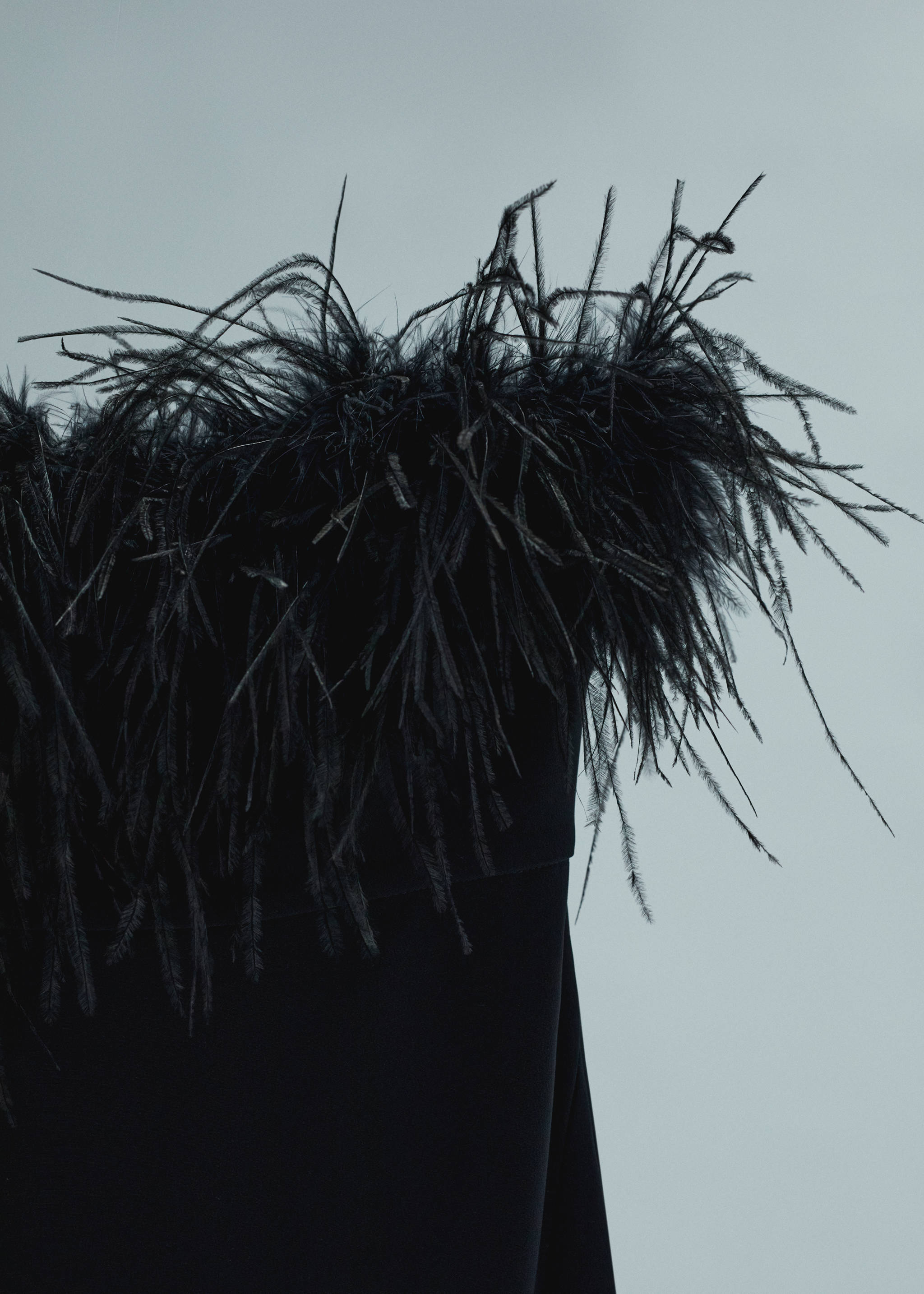 Robe bustier détail plumes - Détail de l'article 8