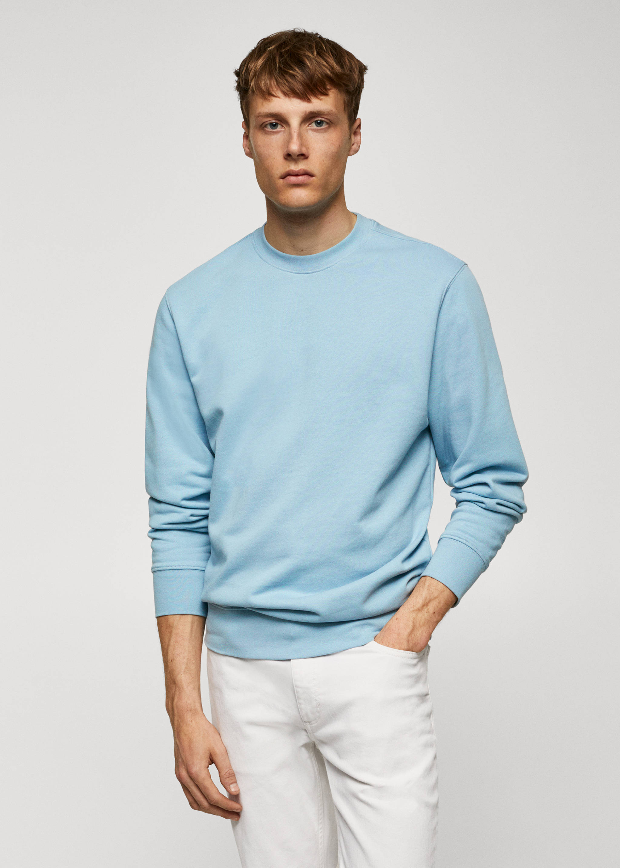 100% cotton basic sweatshirt - Medium plane