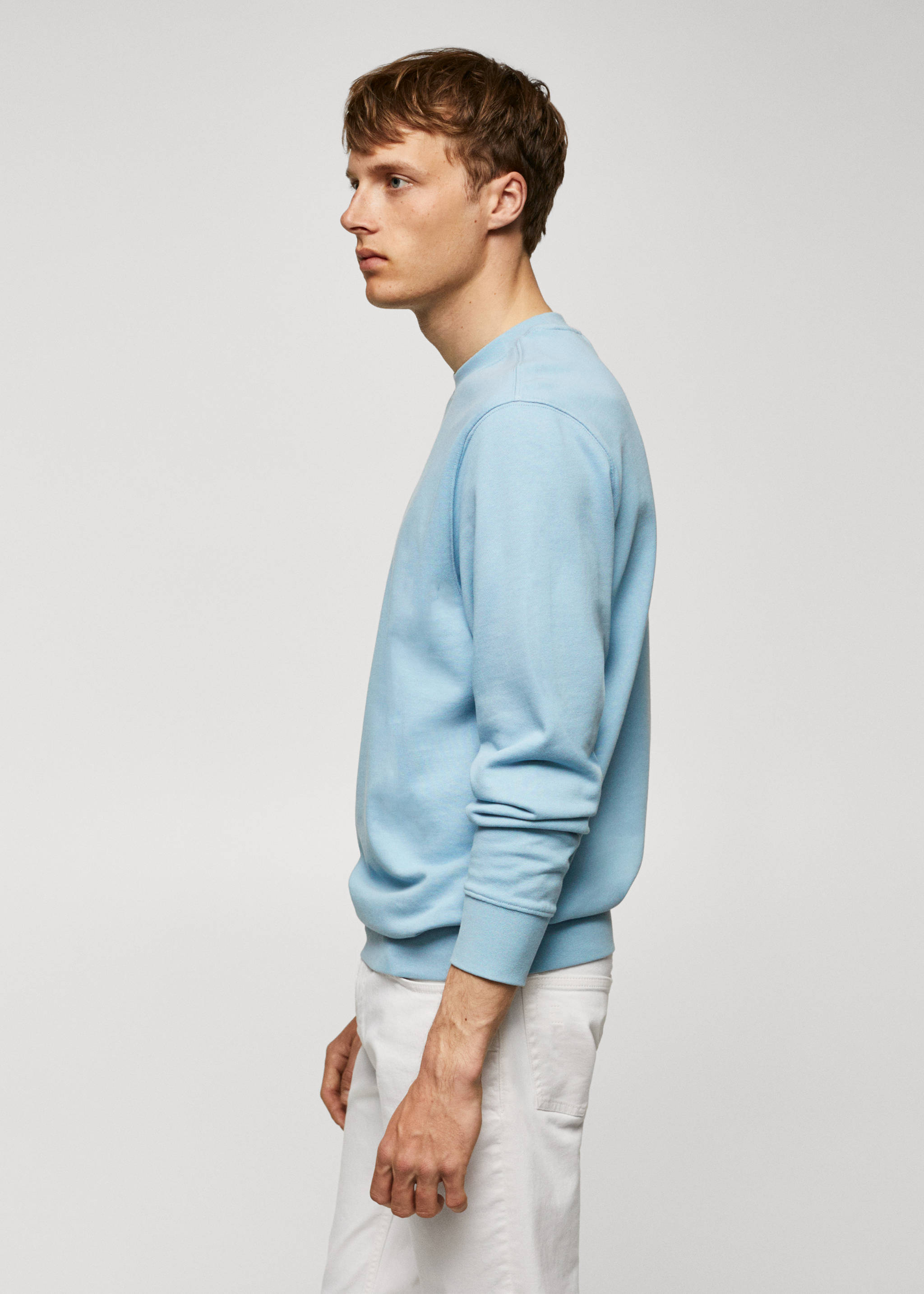 100% cotton basic sweatshirt - Details of the article 2
