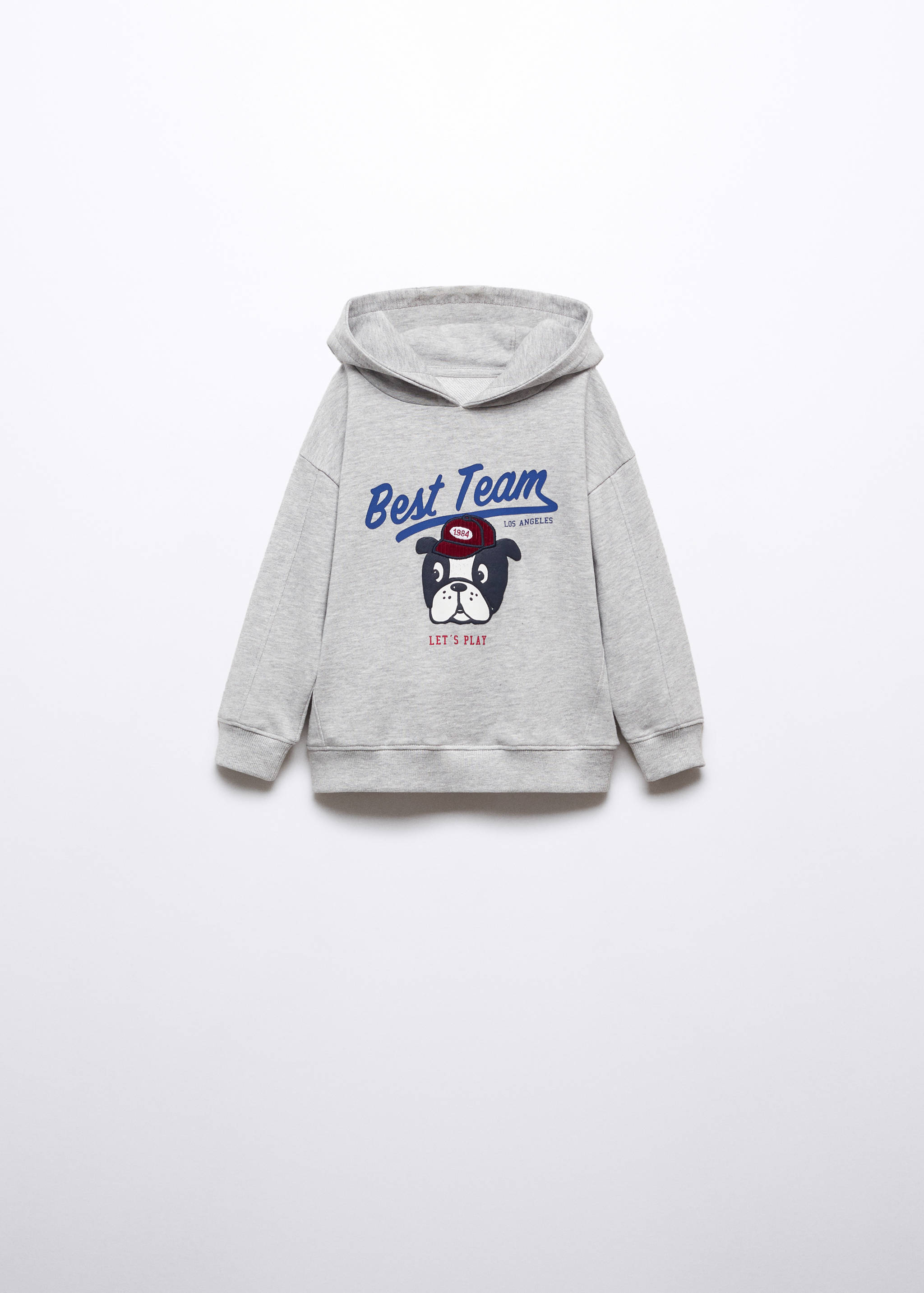 Printed picture sweatshirt - Article without model