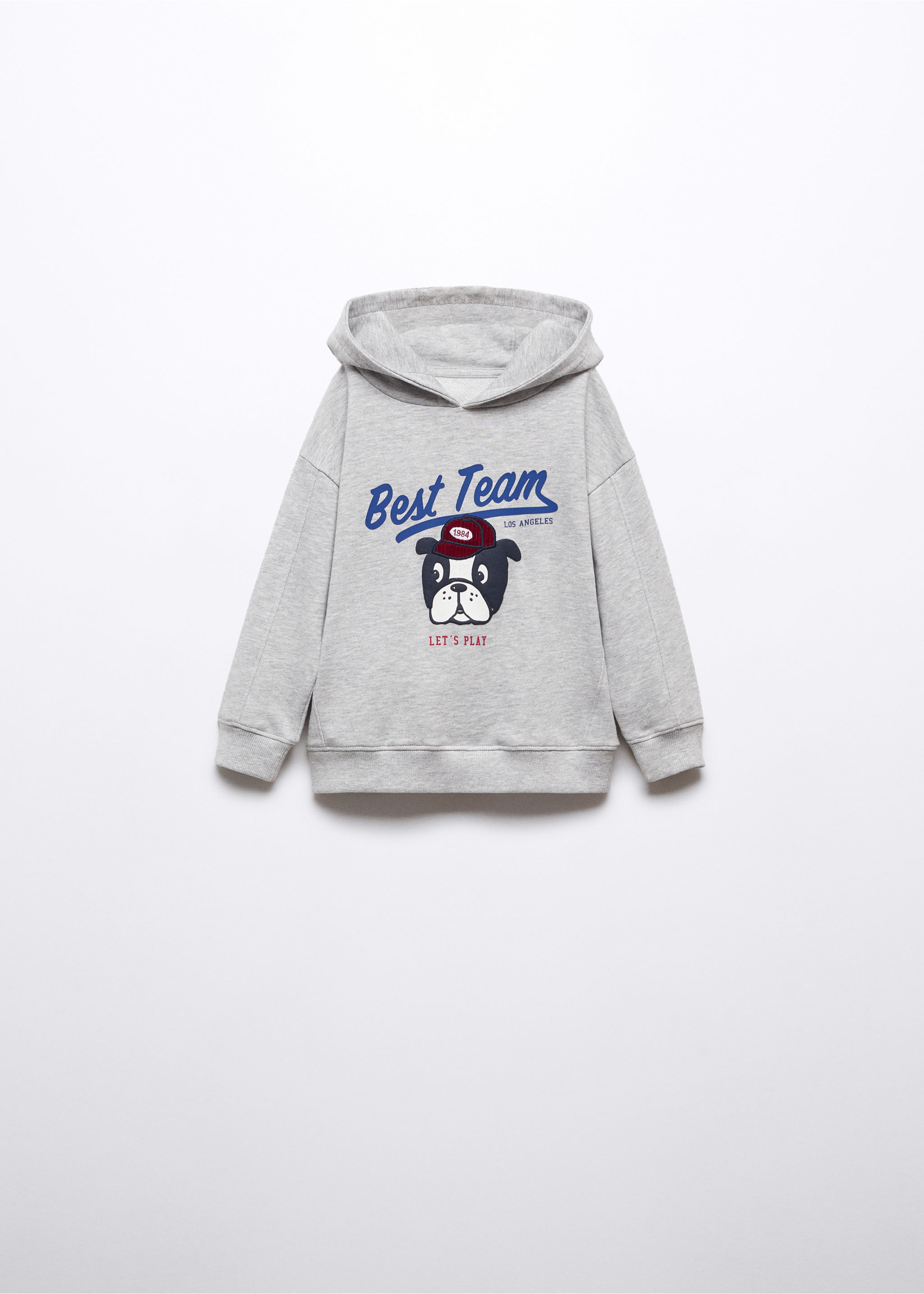 Printed picture sweatshirt - Article without model