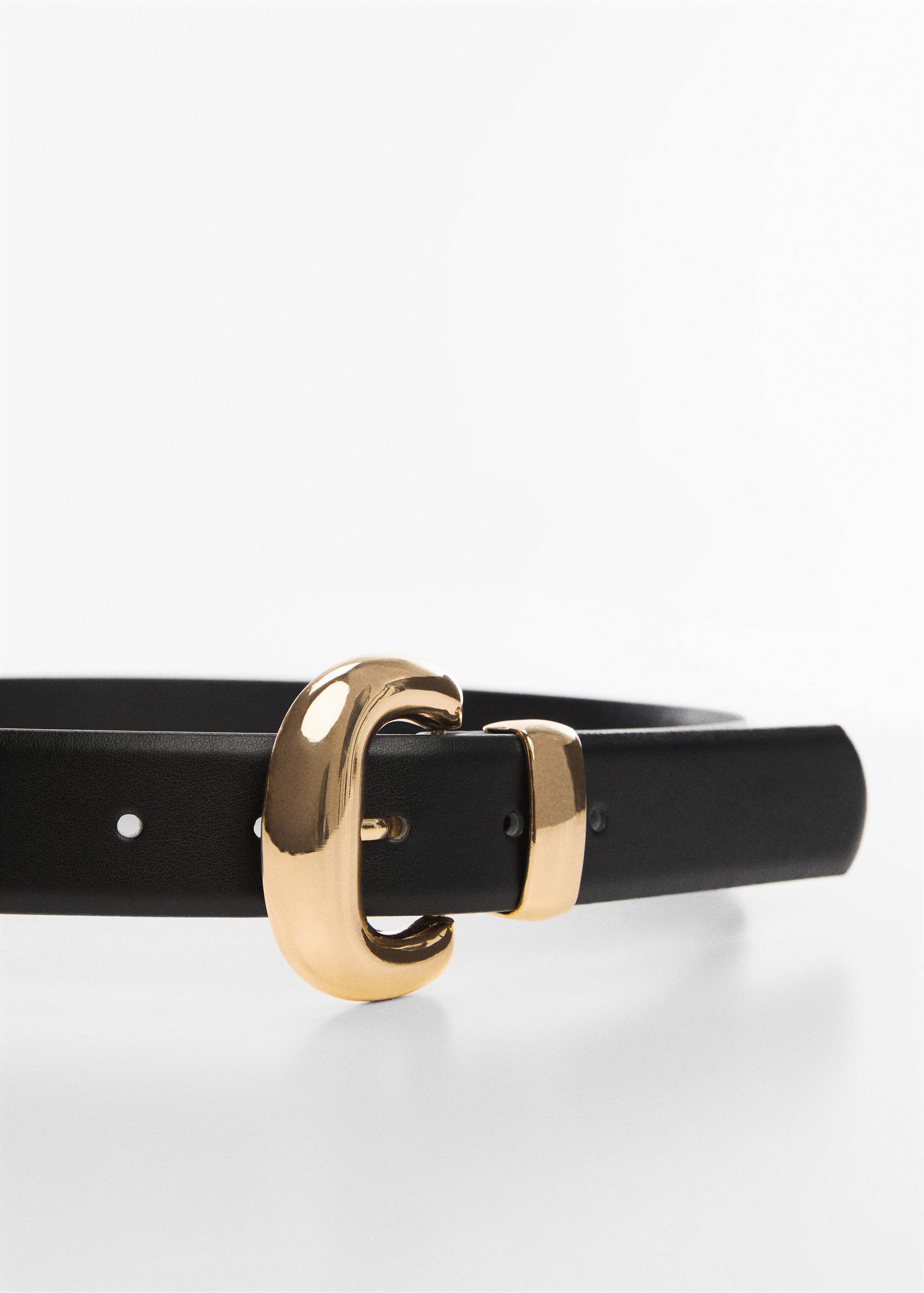 Metal buckle belt - Medium plane