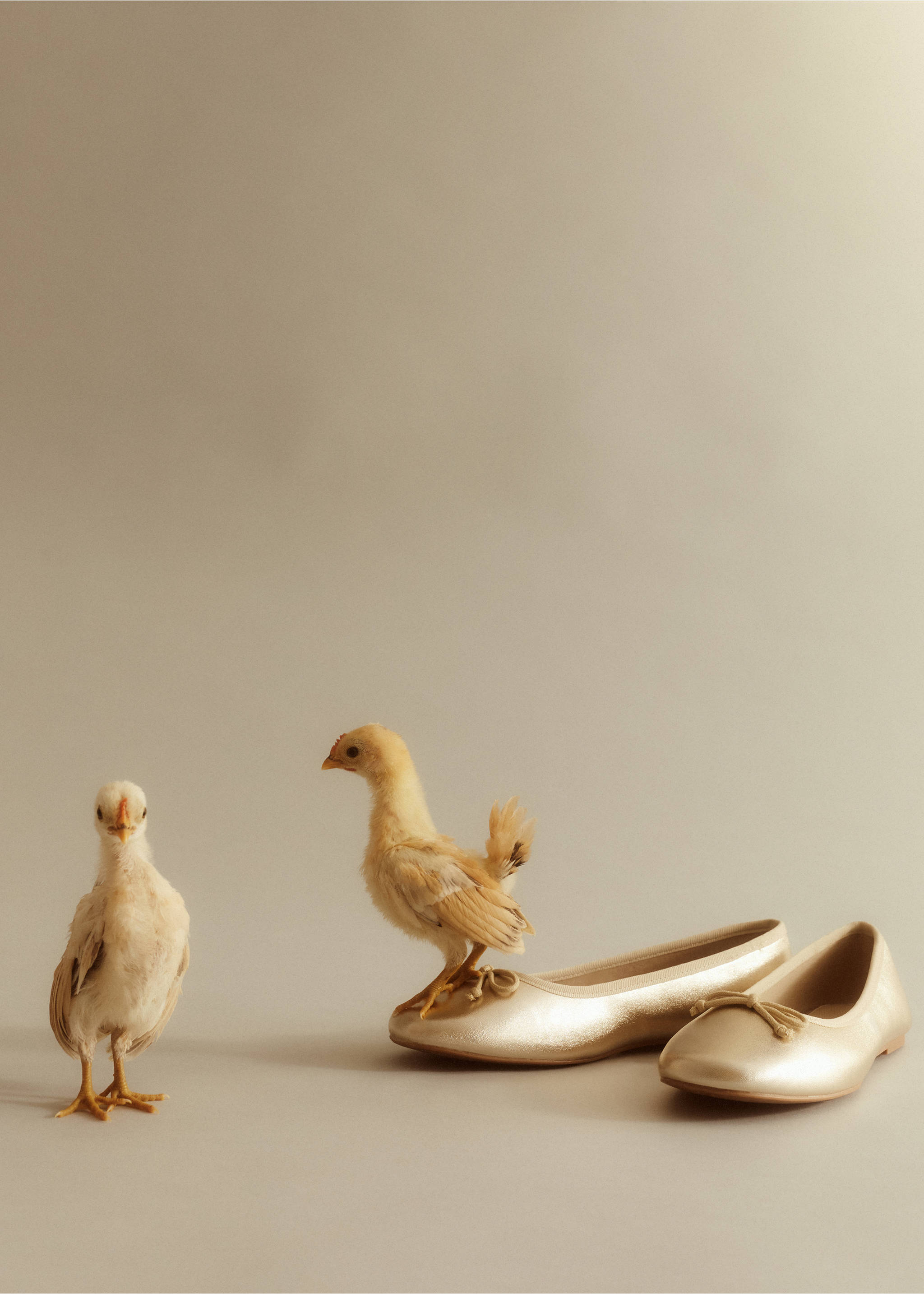 Bow ballerina - Details of the article 8, Gold. Ref: 57035136-00.