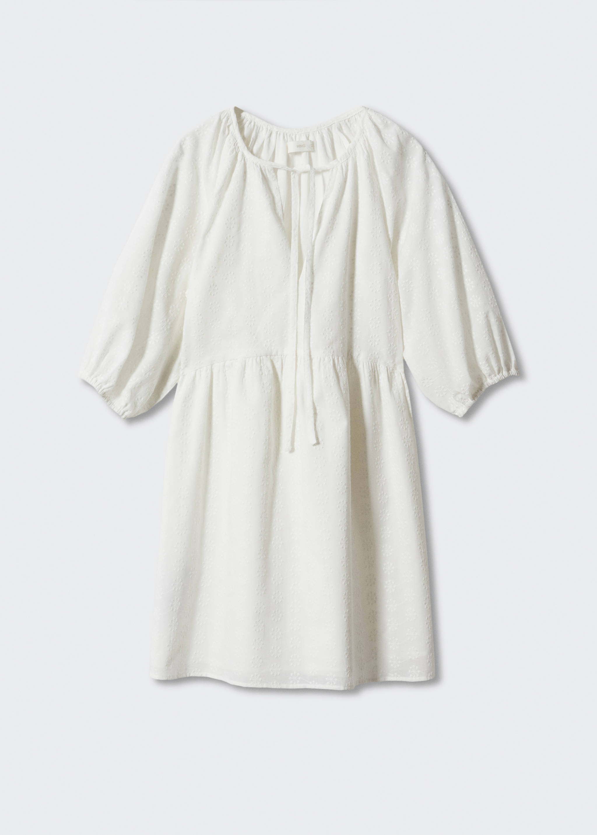 Puff-sleeved embroidered dress - Article without model