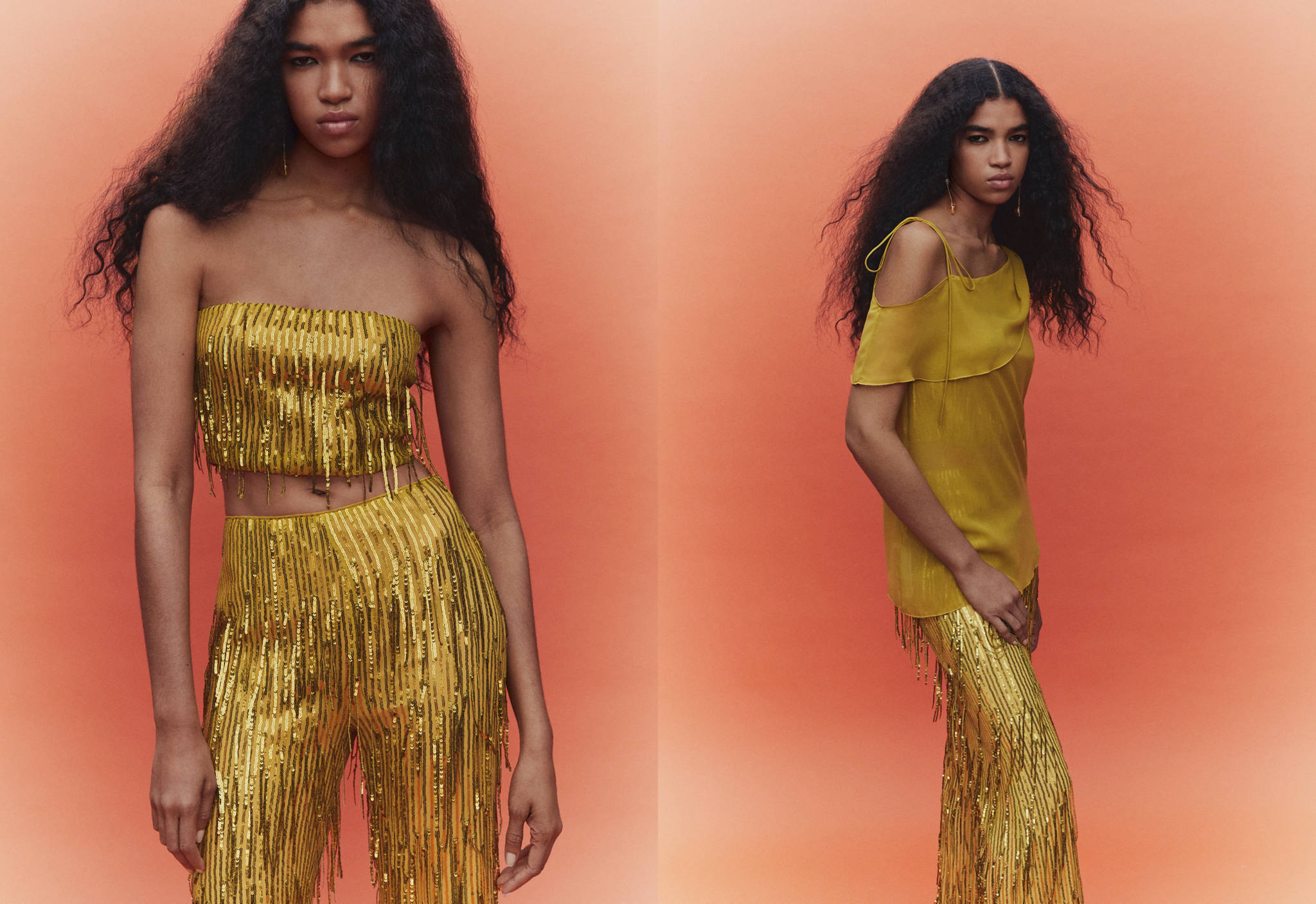 Metallic fringed top - Panoramic plane