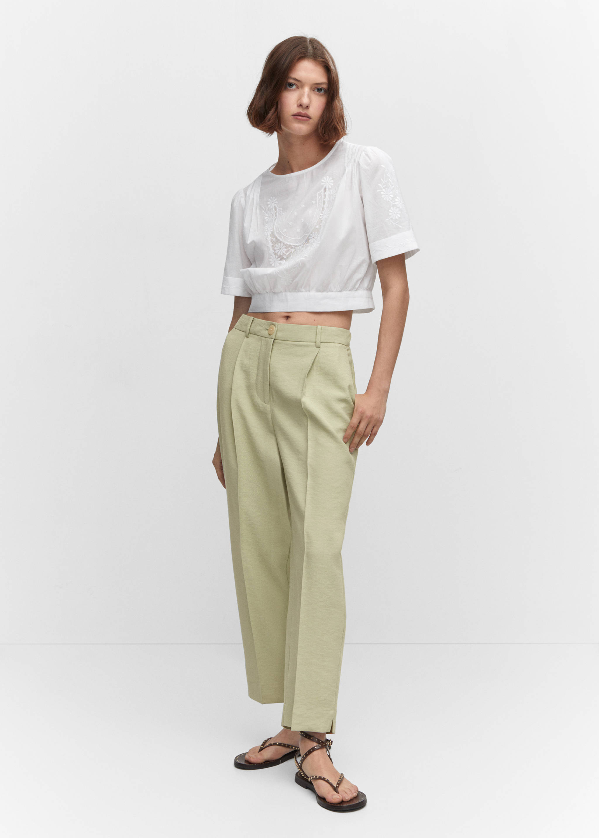Straight-fit pleated trousers - General plane