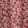 Colour Maroon selected