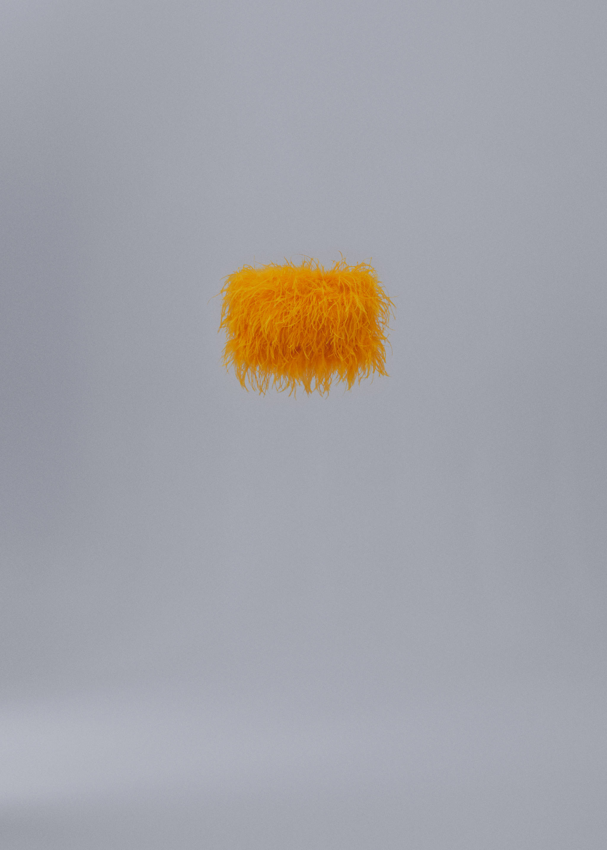 Top estil bandeau plomes - Article sense model