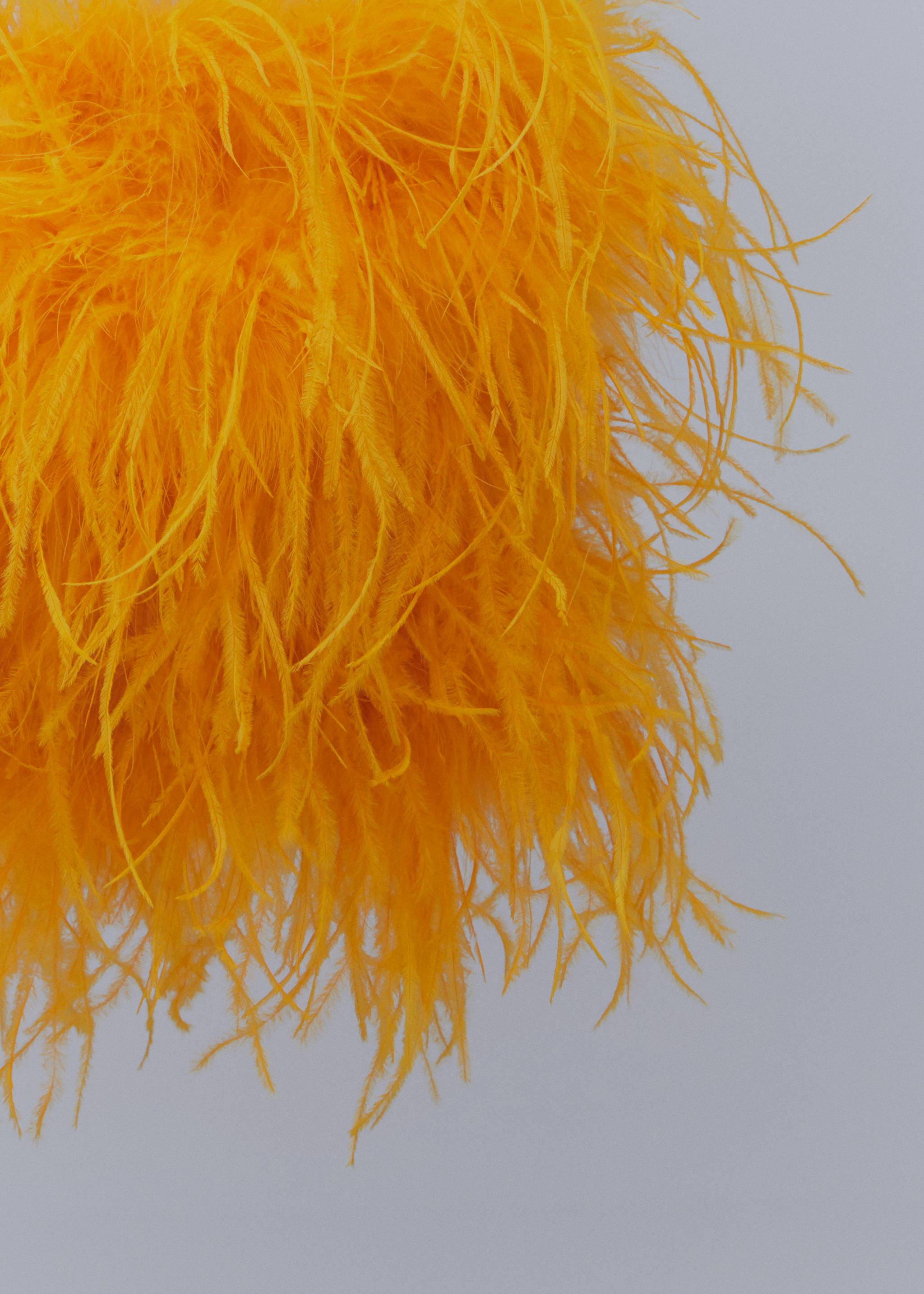 Top estil bandeau plomes - Detall de l'article 8