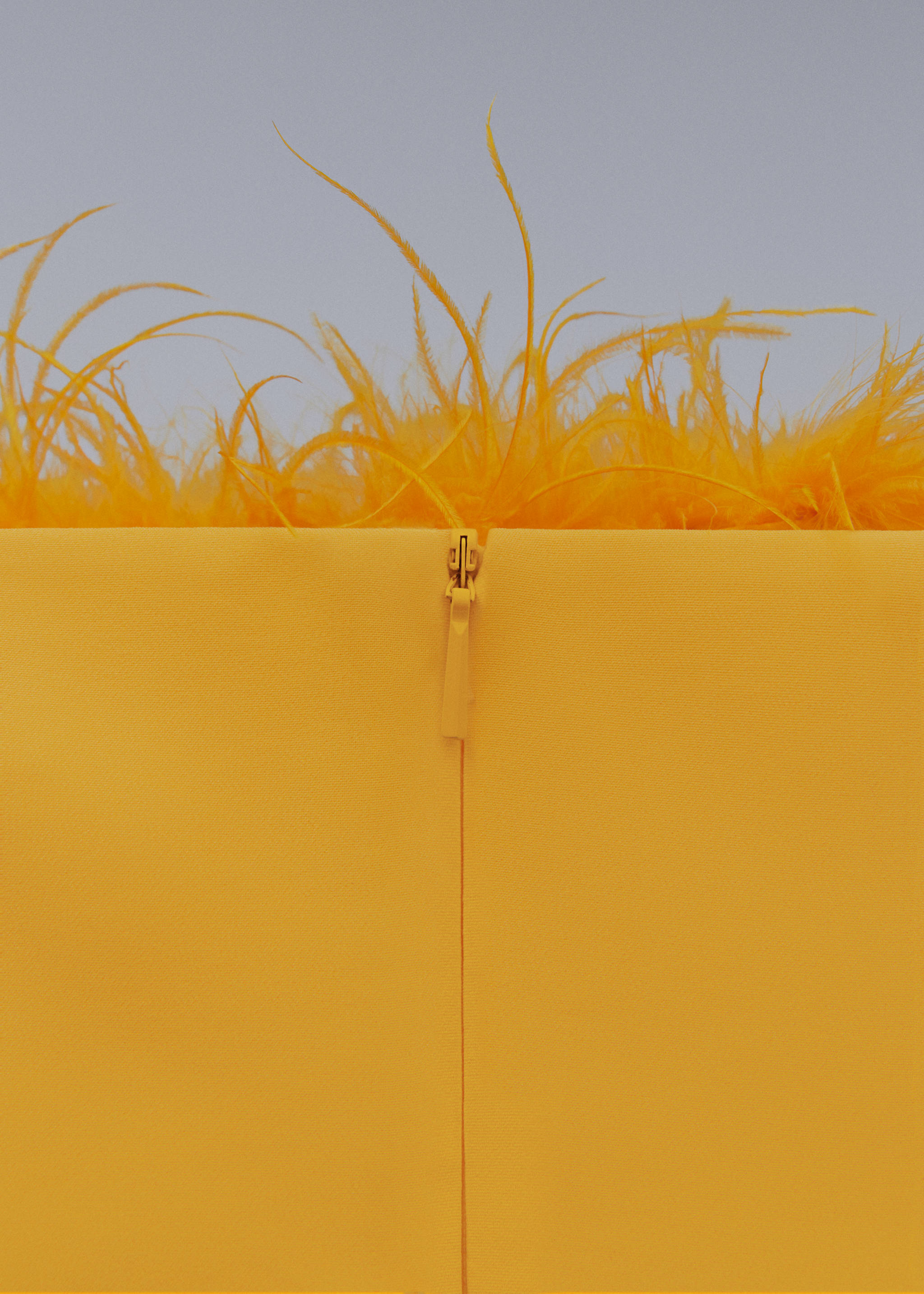 Top estil bandeau plomes - Detall de l'article 0