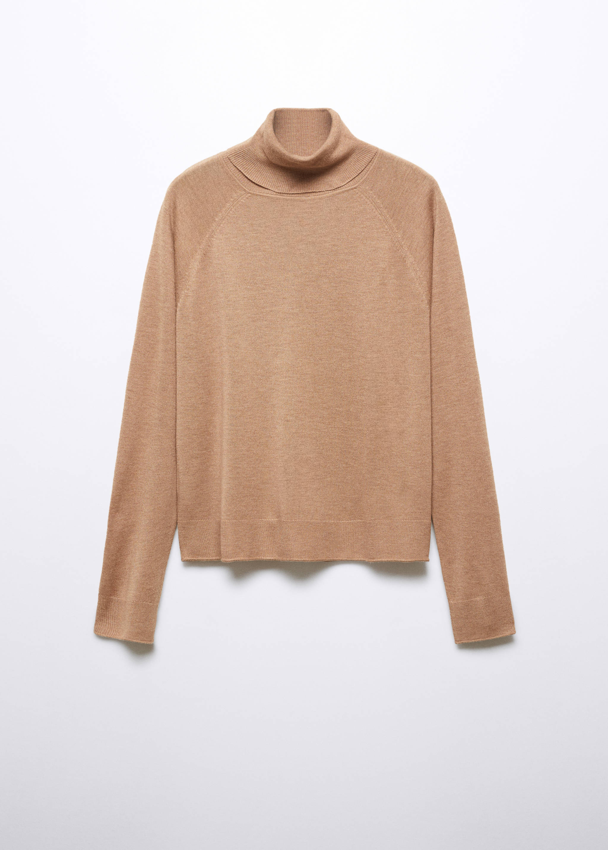 Fine-knit turtleneck sweater - Article without model