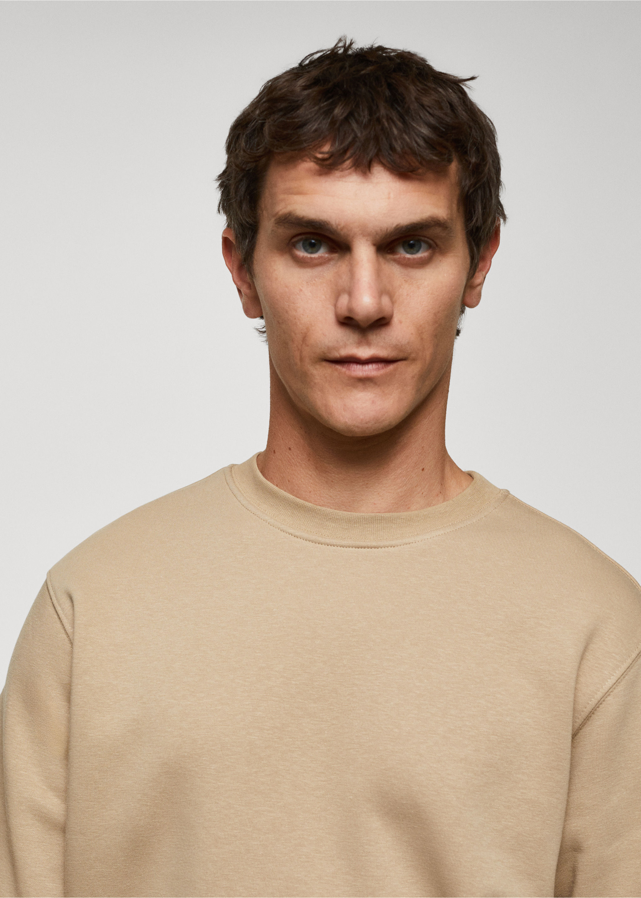 Lightweight cotton sweatshirt - Details of the article 1