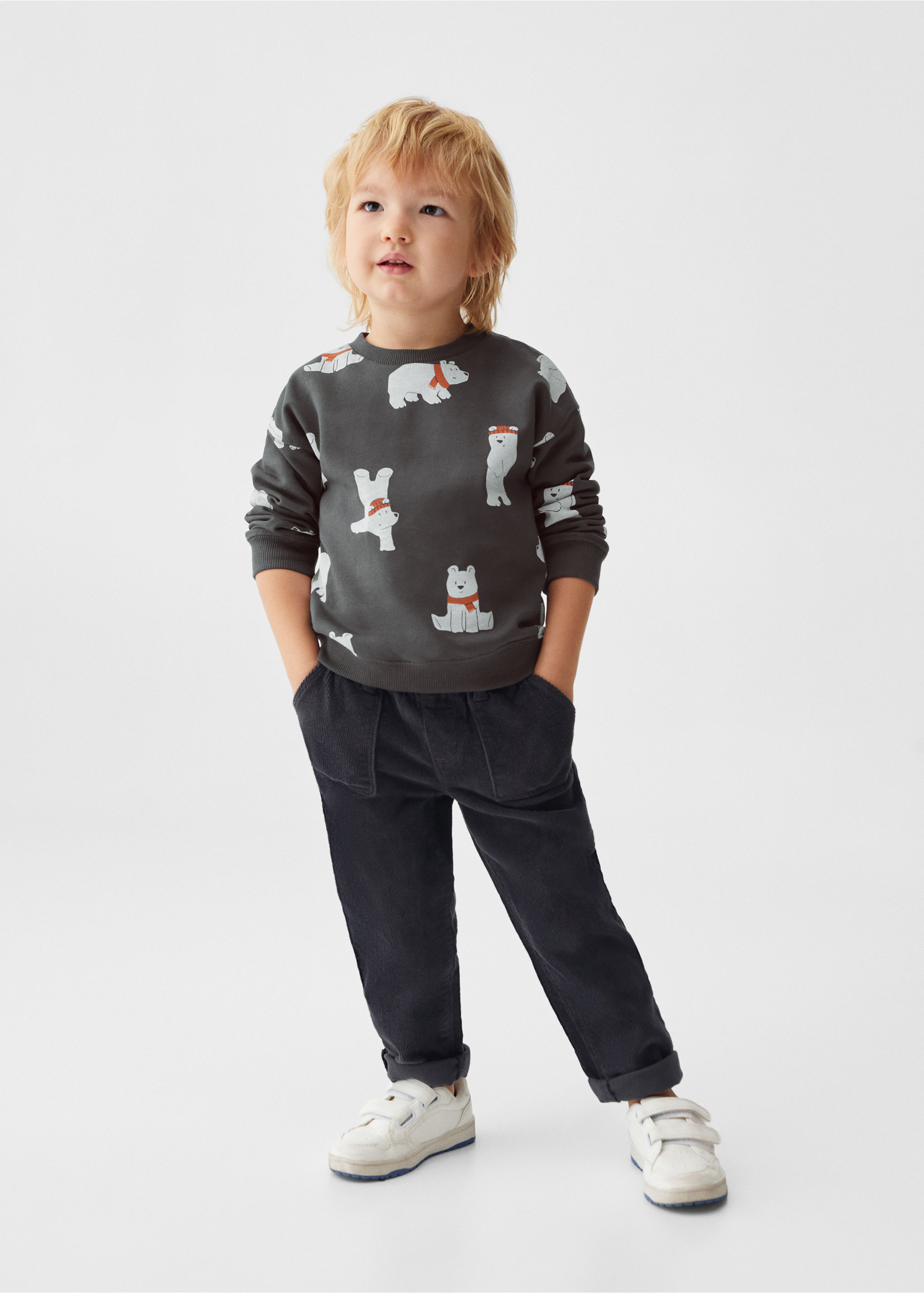 Brushed cotton sweatshirt - General plane