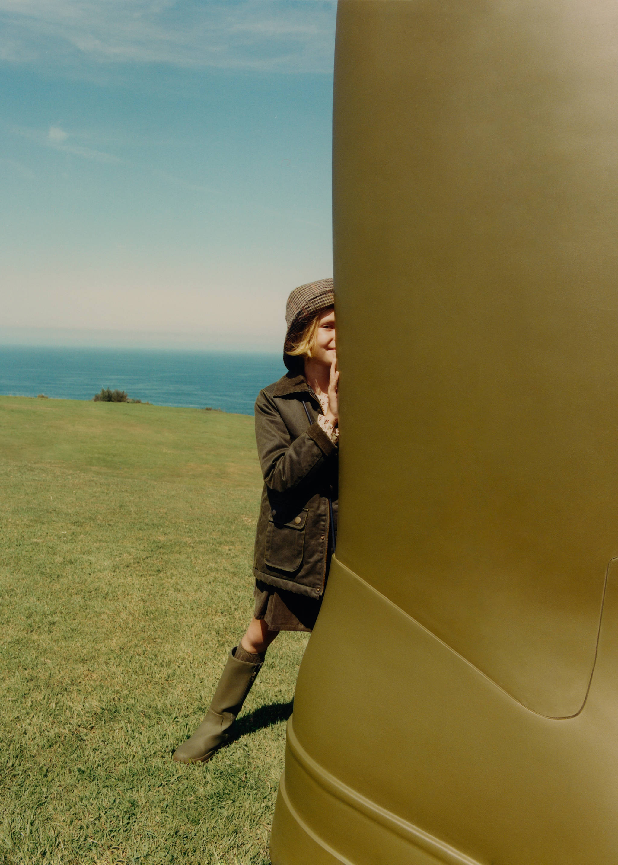 Bucketmössa - Allmän bild