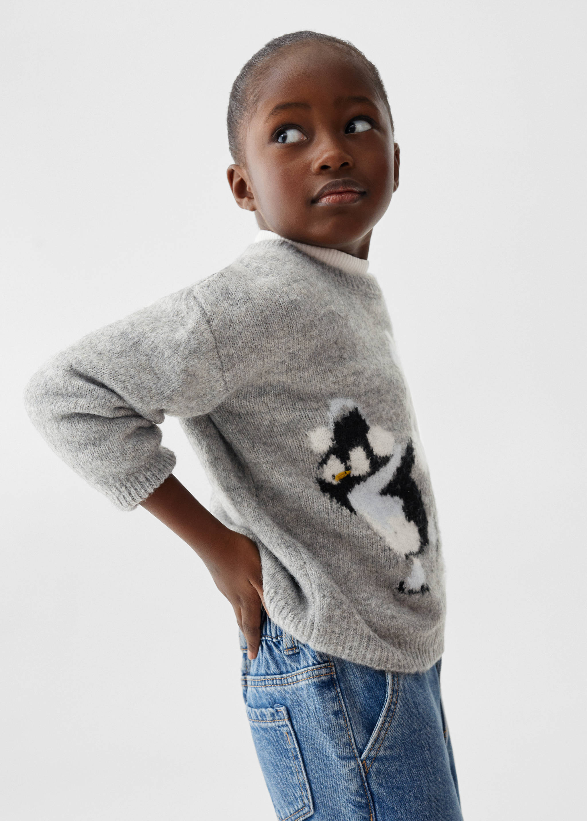 Jersei punt dibuix - Detall de l'article 1