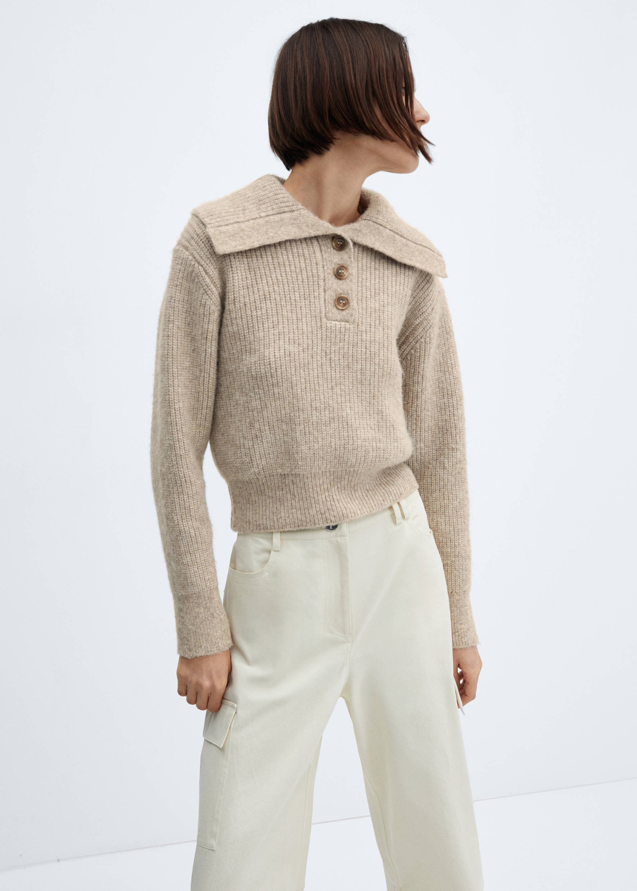 Strickpullover mit Reverskragen - Mittlere Ansicht