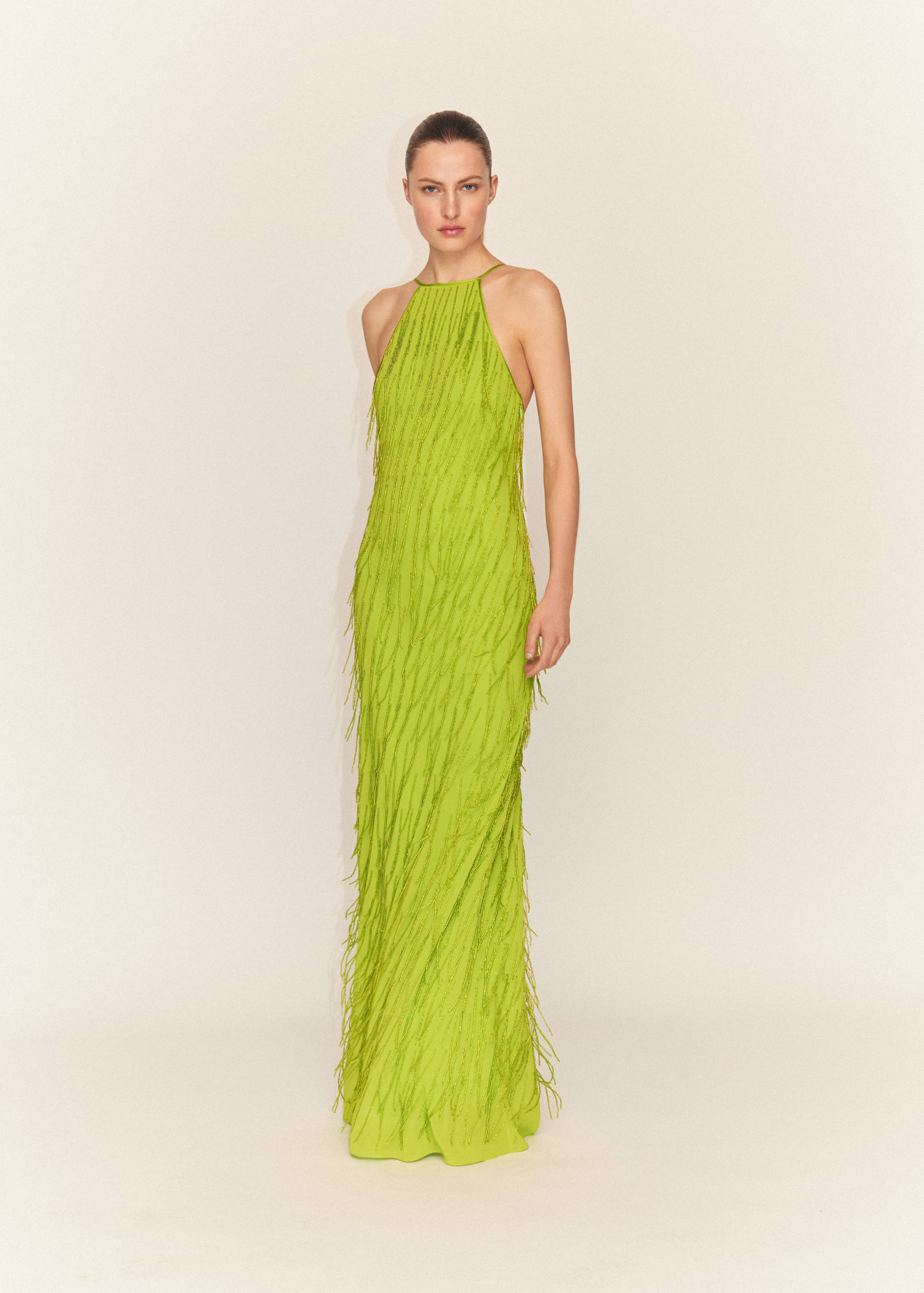 Halter dress with rhinestone fringes - General plane
