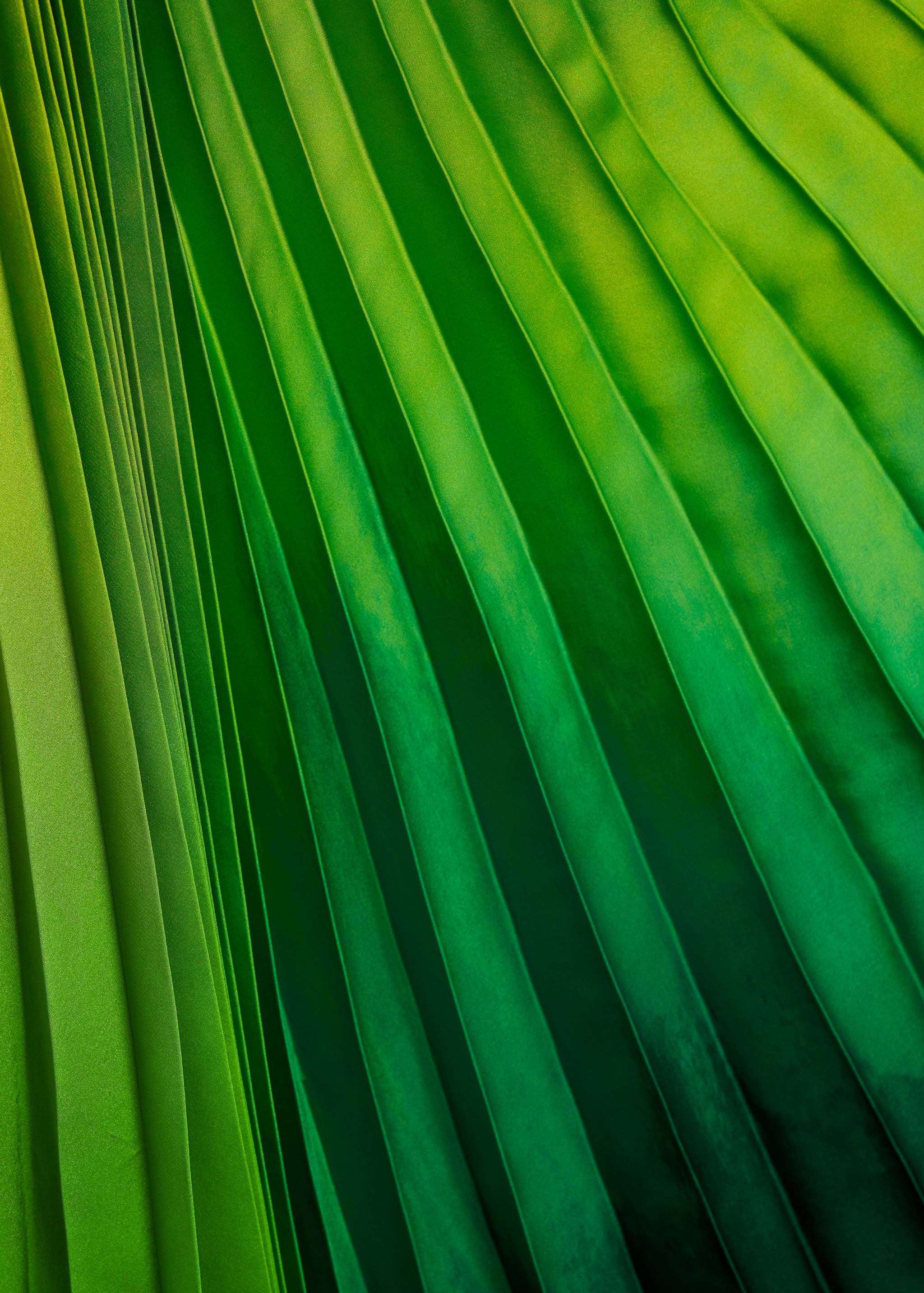 Asymmetrisches Plisséekleid - Detail des Artikels 0