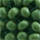 Colour Green selected