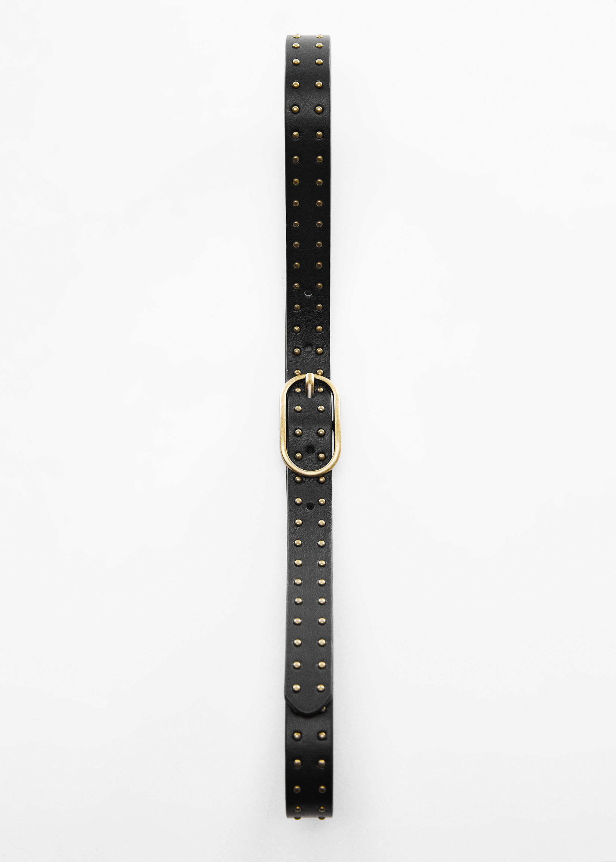 Studded belt - Details of the article 5