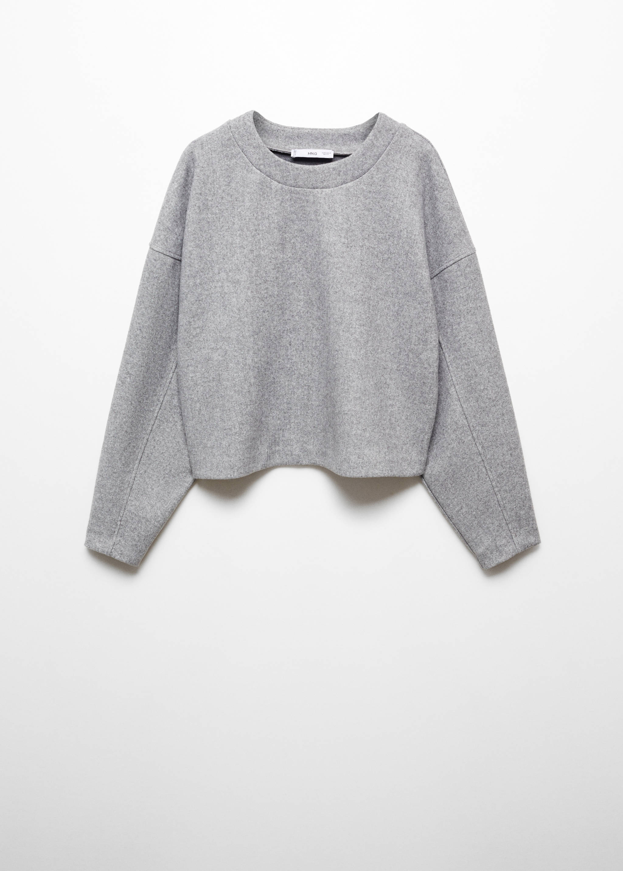 Crewneck sweatshirt - Article without model