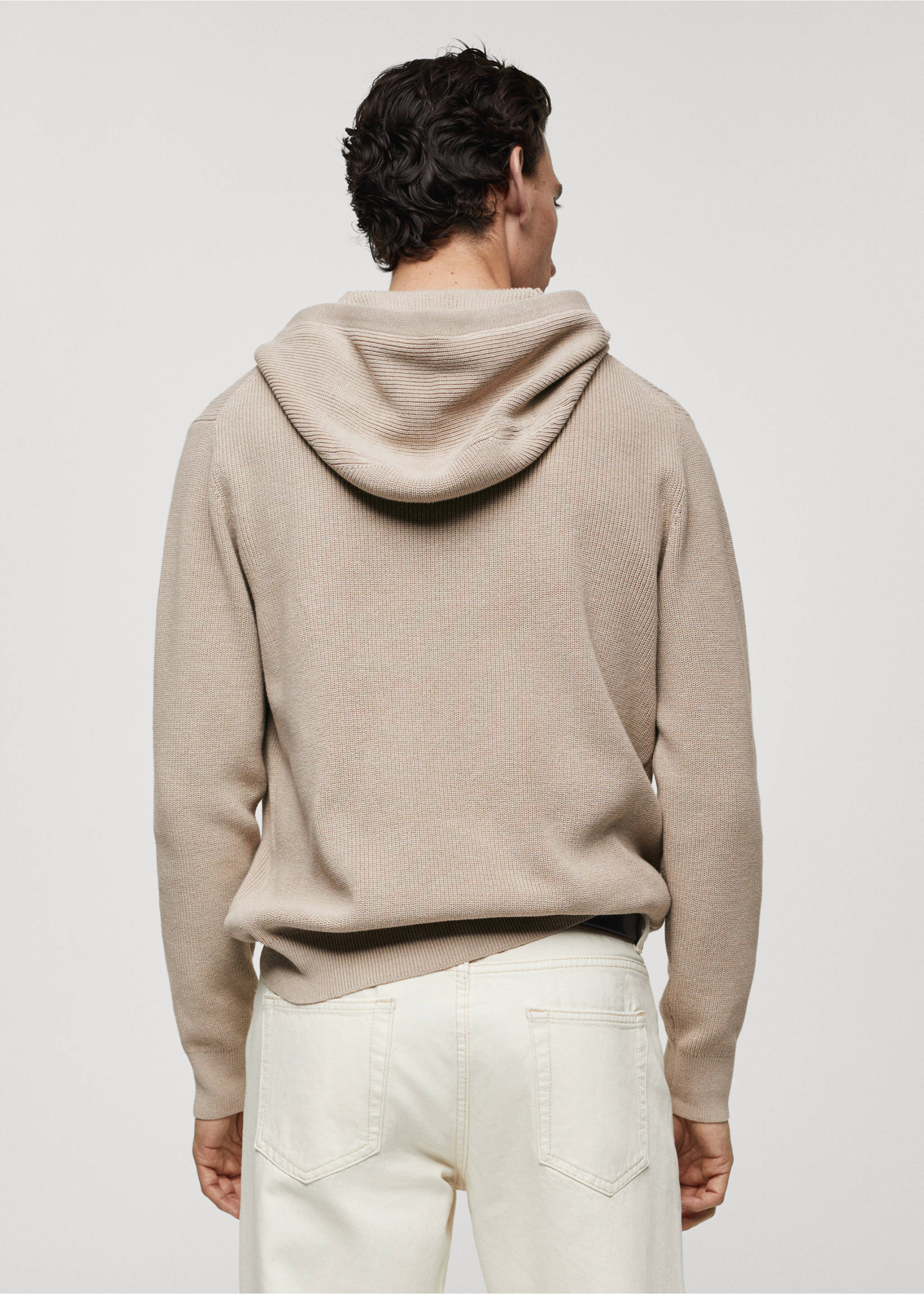 Hooded knit sweatshirt - Reverse of the article, Light/Pastel Grey. Ref: 67064450-00.