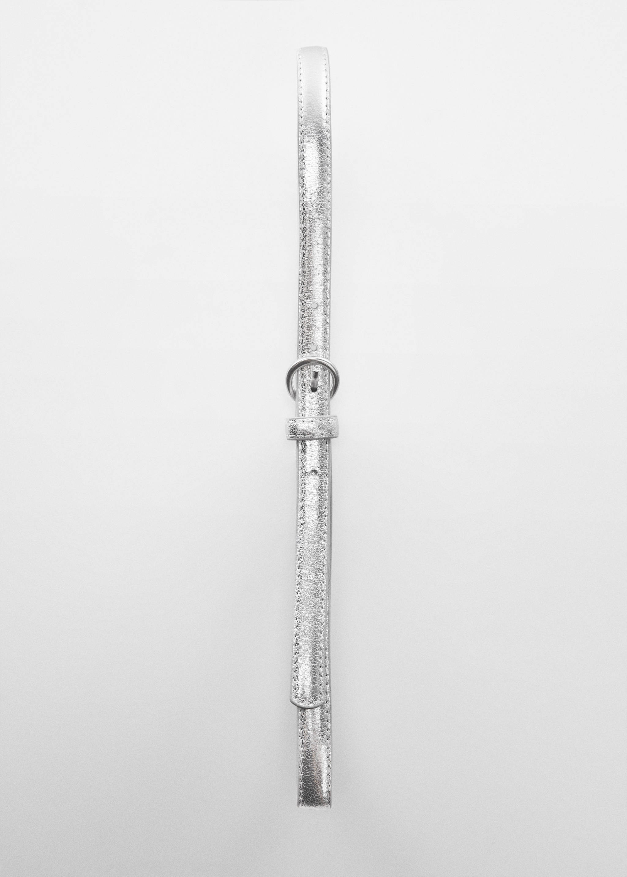 Metallic ceintuur met gesp - Detail van het artikel 1