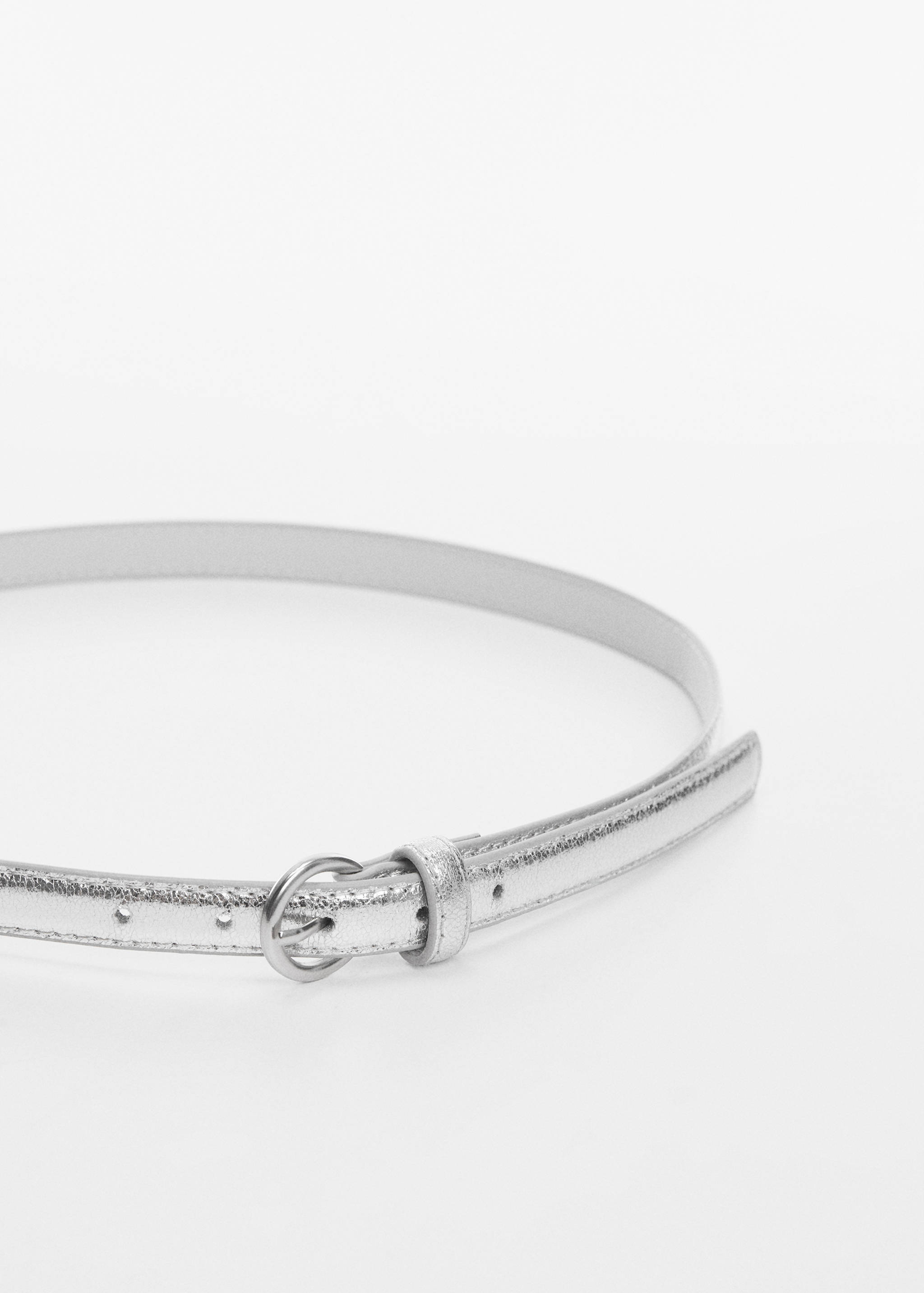Metallic ceintuur met gesp - Detail van het artikel 2